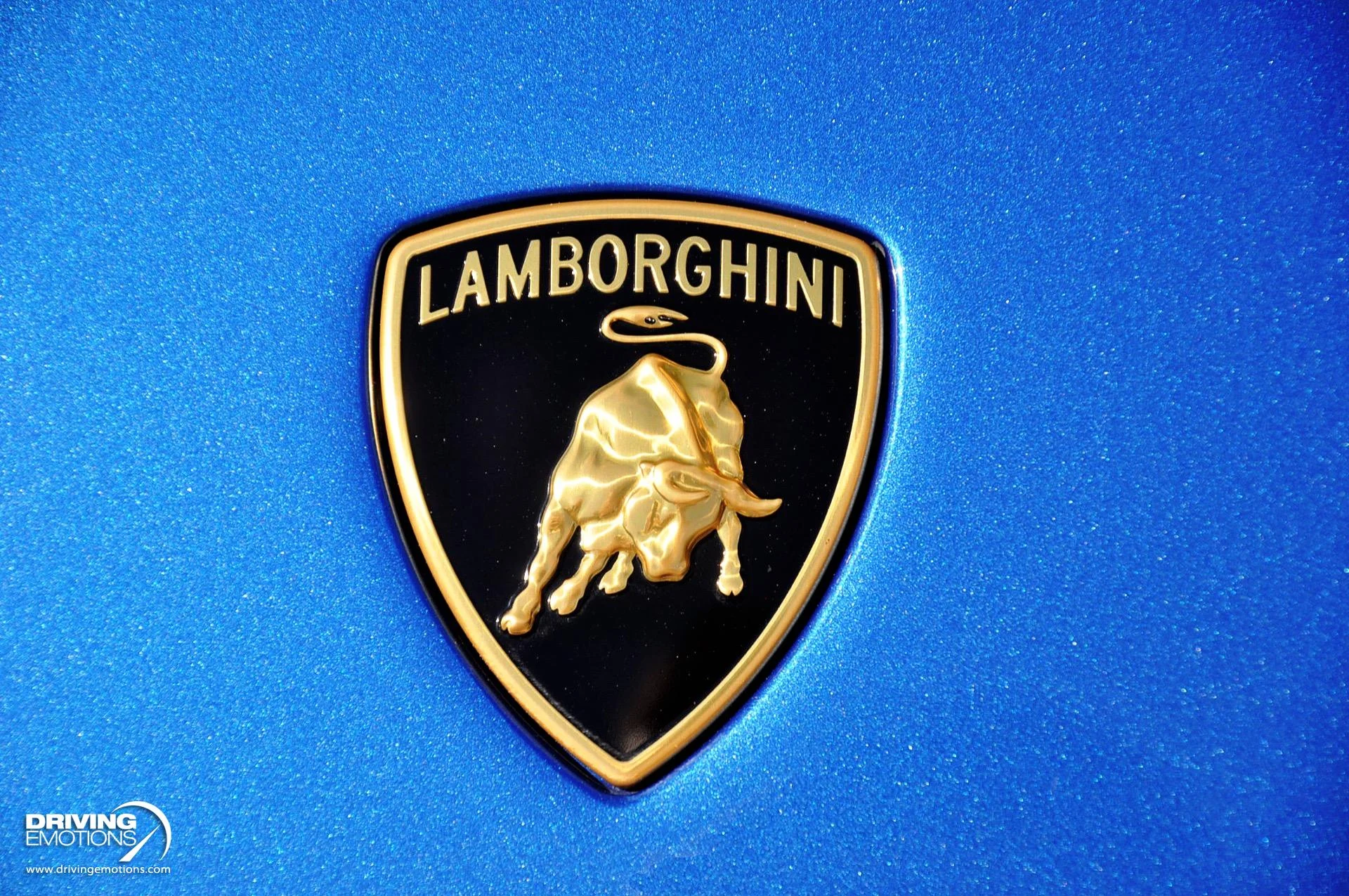 mph009_2672499999_743_p10_l_26cf86e1d5