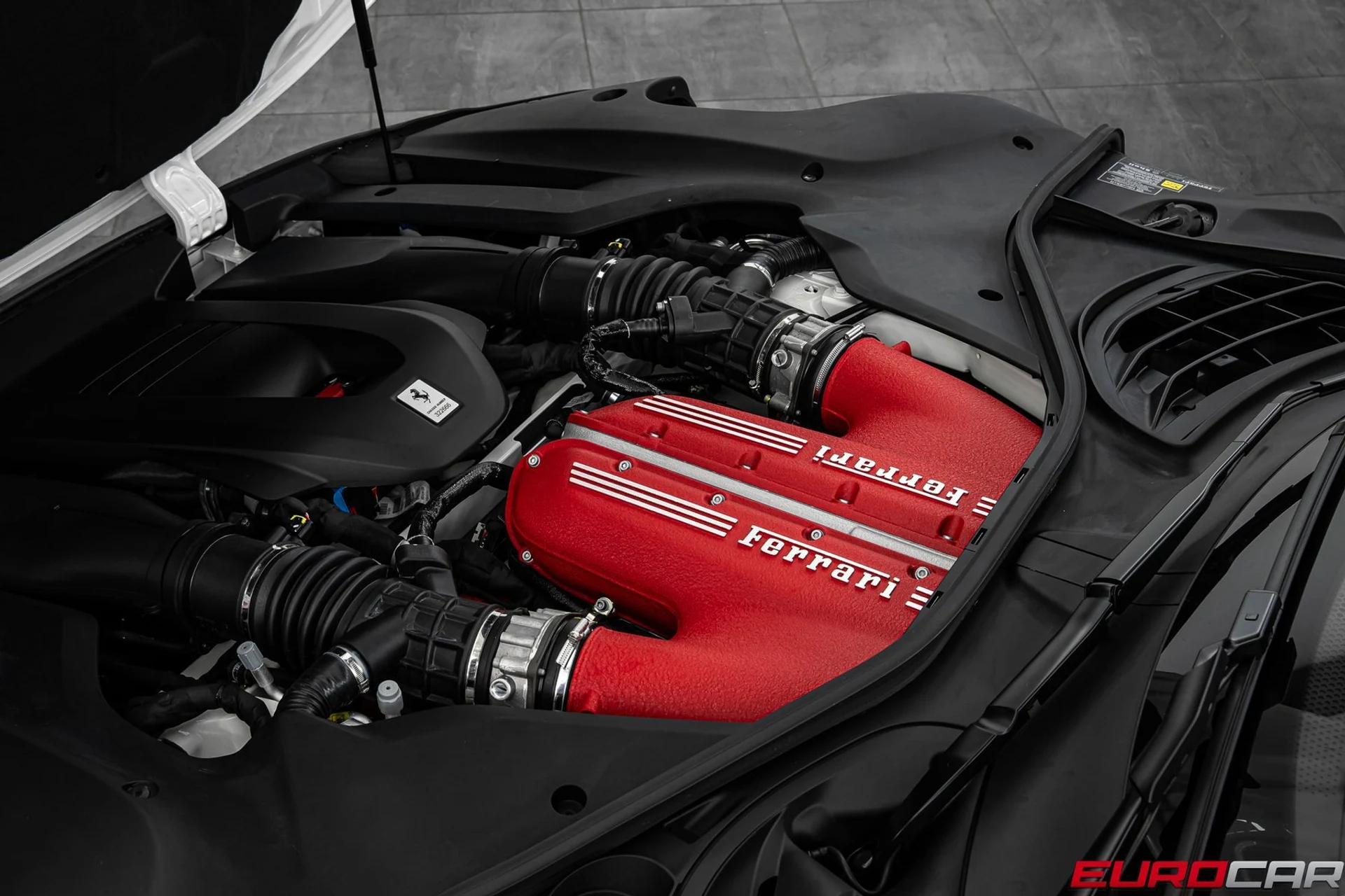 mph009_2689130703_723530fd_3480_4cc5_bd9b_421175fc9eeb_c7c2f76bb0