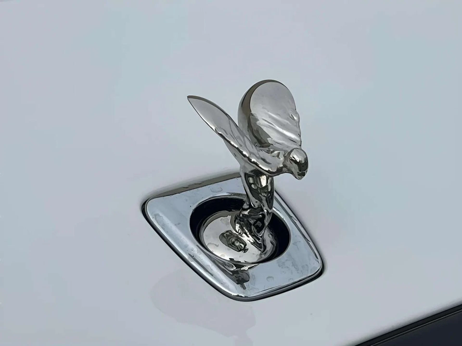 mph009_2732040891_2j4n247et0xehbcsp5utjvklljln_3fc7f12ebf