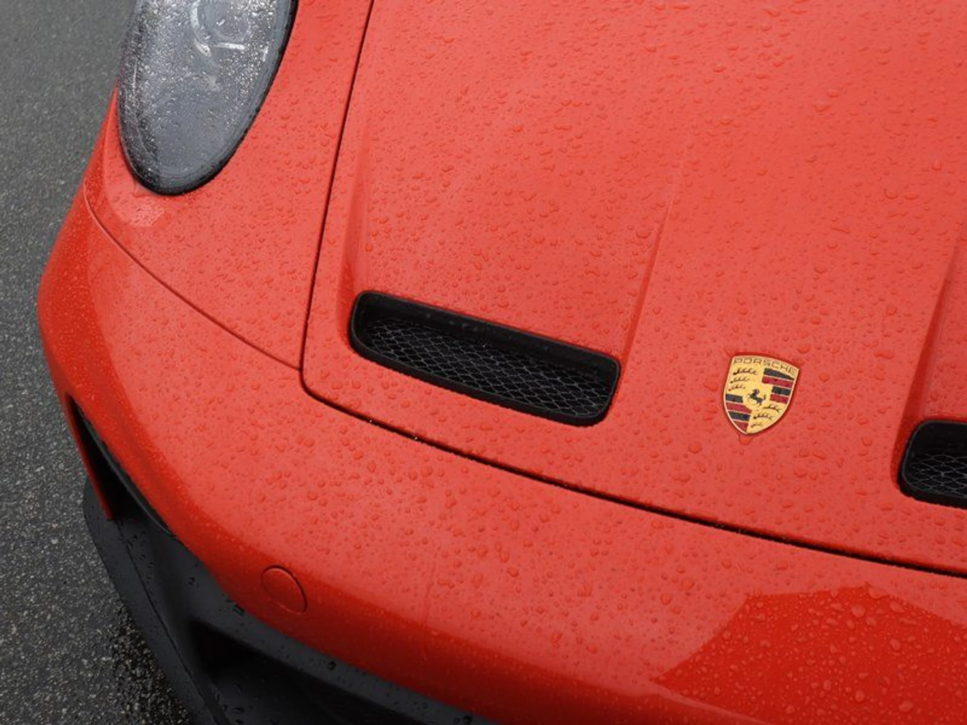 mph009_2785568344_37564554_01731_8f35e2a097e32e41fa60dc3d6ceaa854_62858cab6c