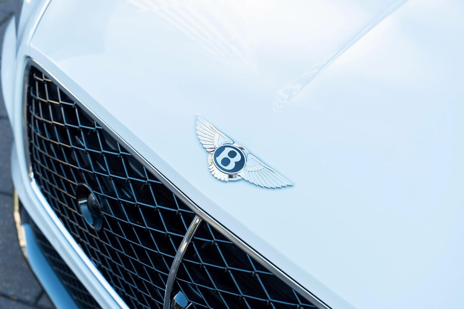 mph009_2801069188_458241676_68ef2216026595e726699a21_ce01421a92