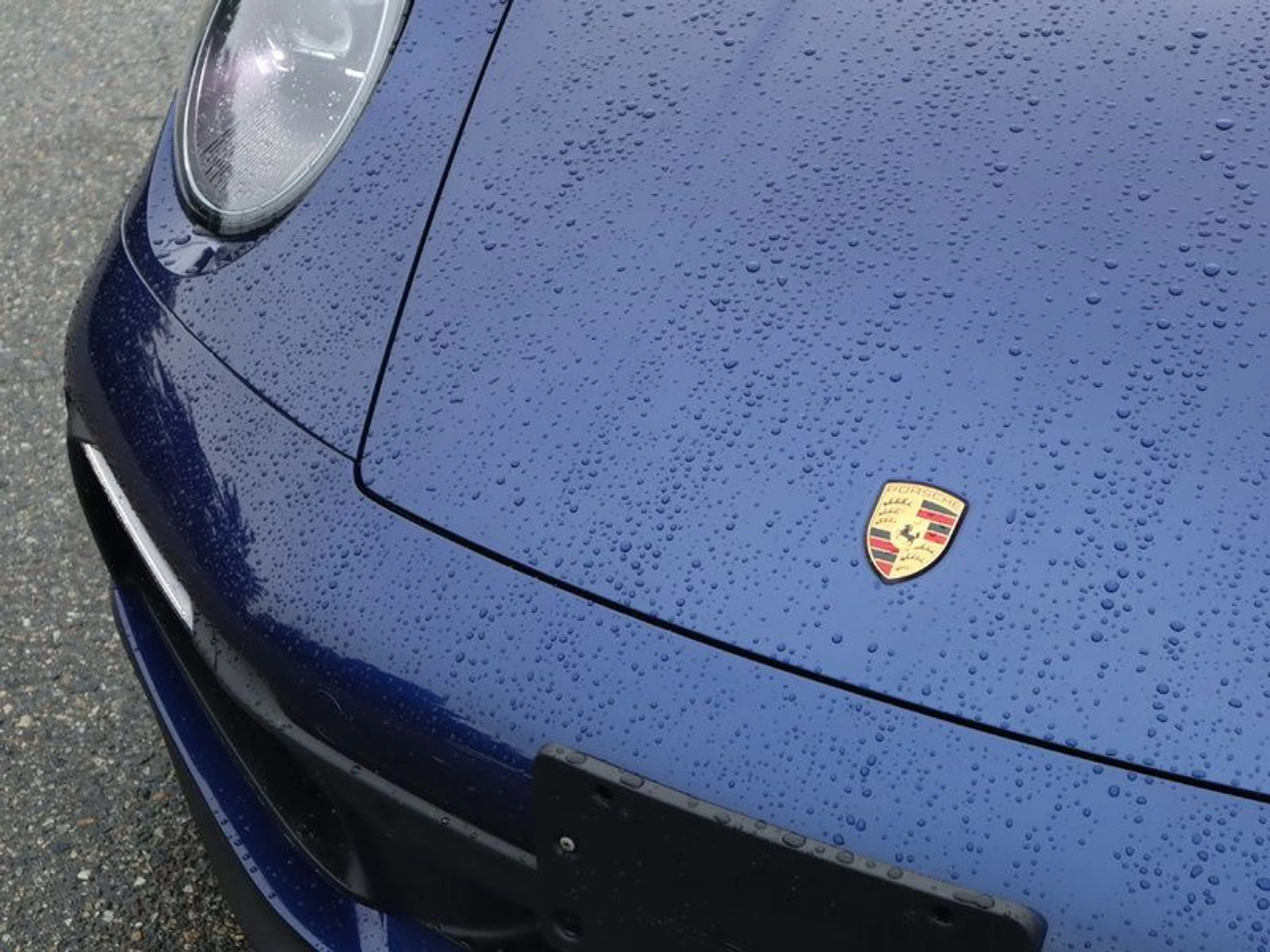 mph009_2805355413_36864873_07076_360282b0f7b38da9acd187ccd22155cb_9dac27cb0d