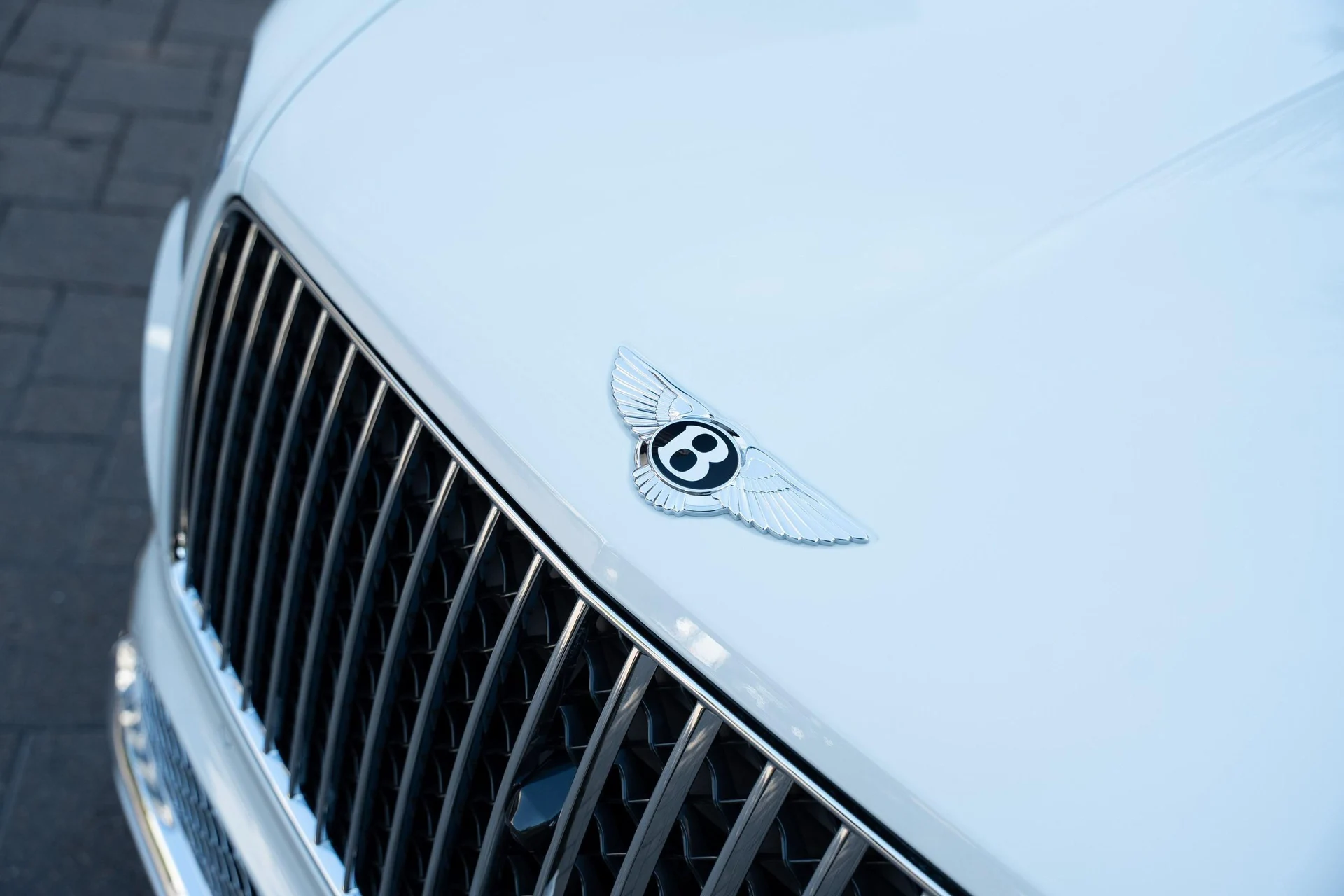 mph009_2850367613_439893873_68933509d11a93082f4d7fd8_092e85767a