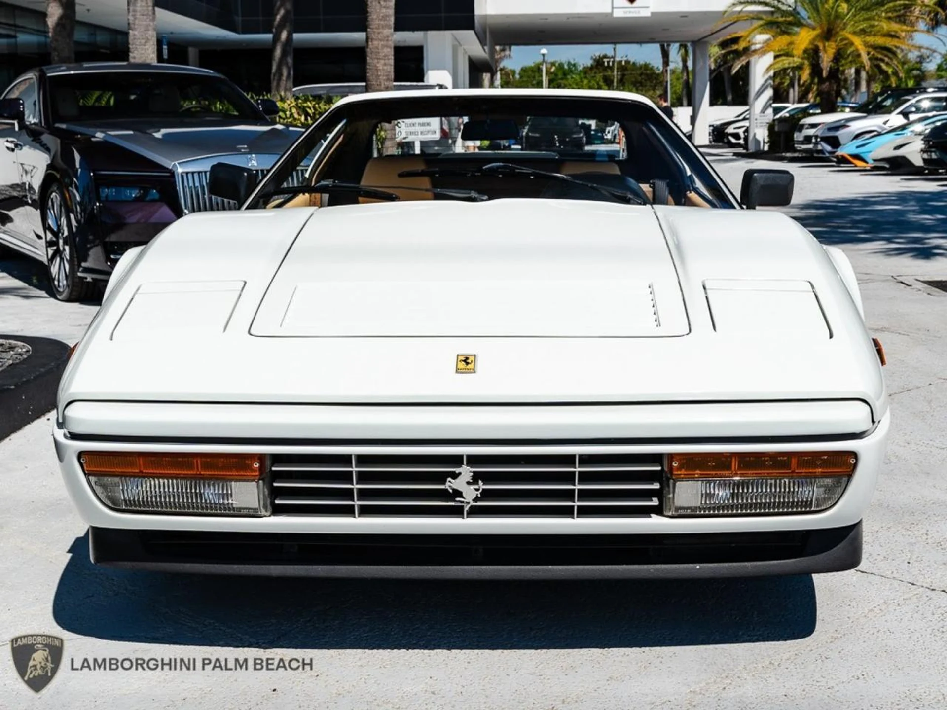 mph009_2892630614_36b0167d59a3c44251728886652510f2_1d9a99335a