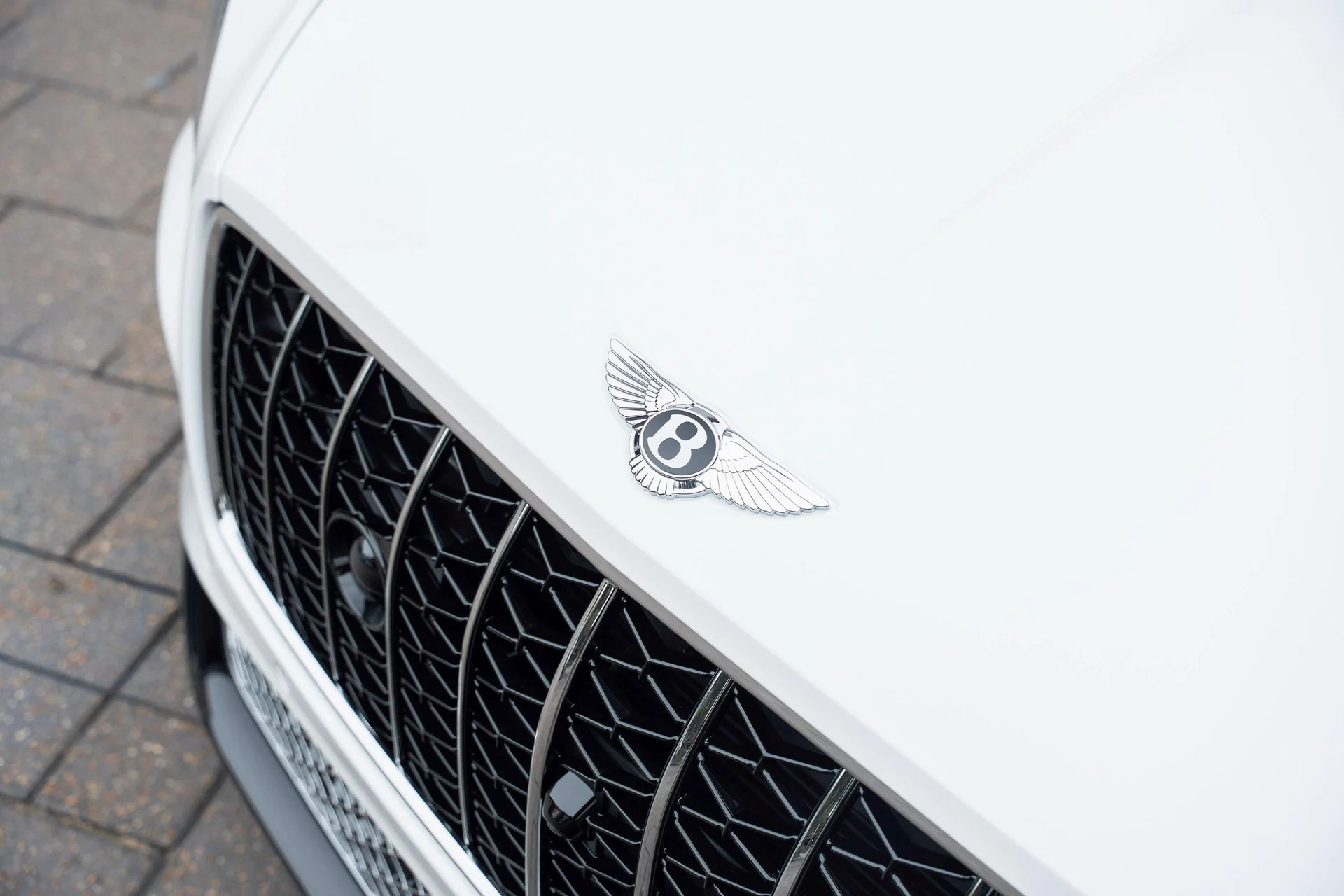 mph009_2902040884_470961996_69312a43437575d819837409_d56709e192