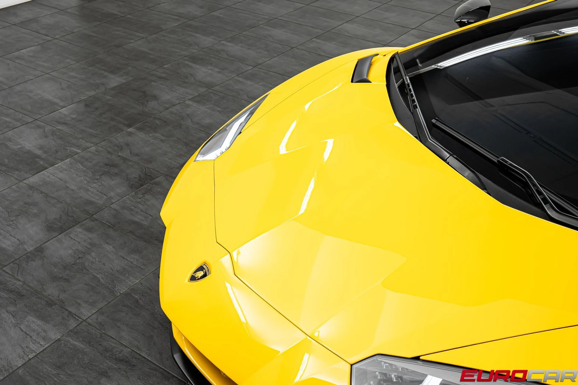 mph009_2902135093_e74ef6d9_23ac_4385_816d_1c55f50cbaa1_293d632741