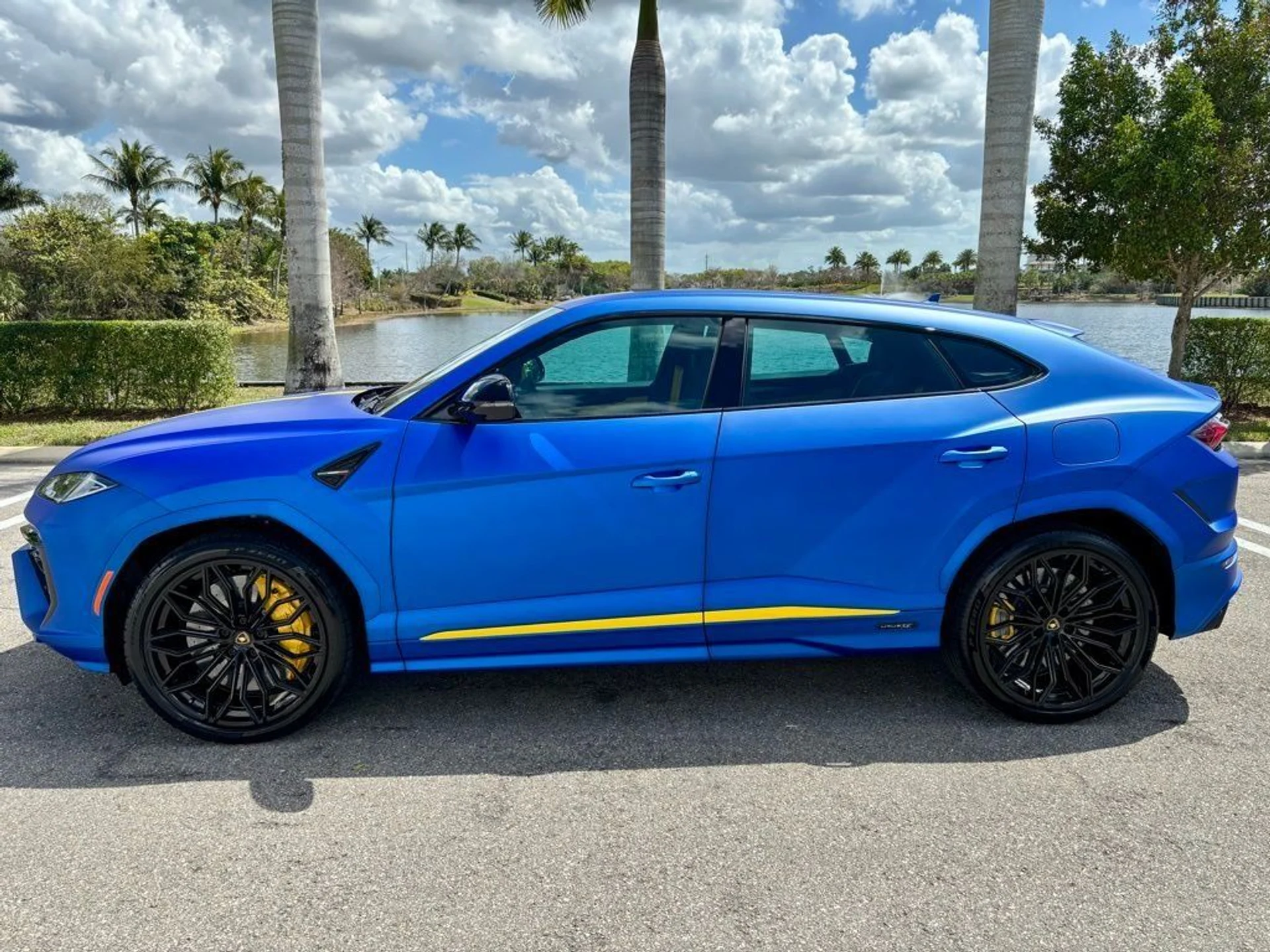 mph009_2936501504_edaf0c7166fbcf6274e48fd6c0f8a45c_34447e0b9c