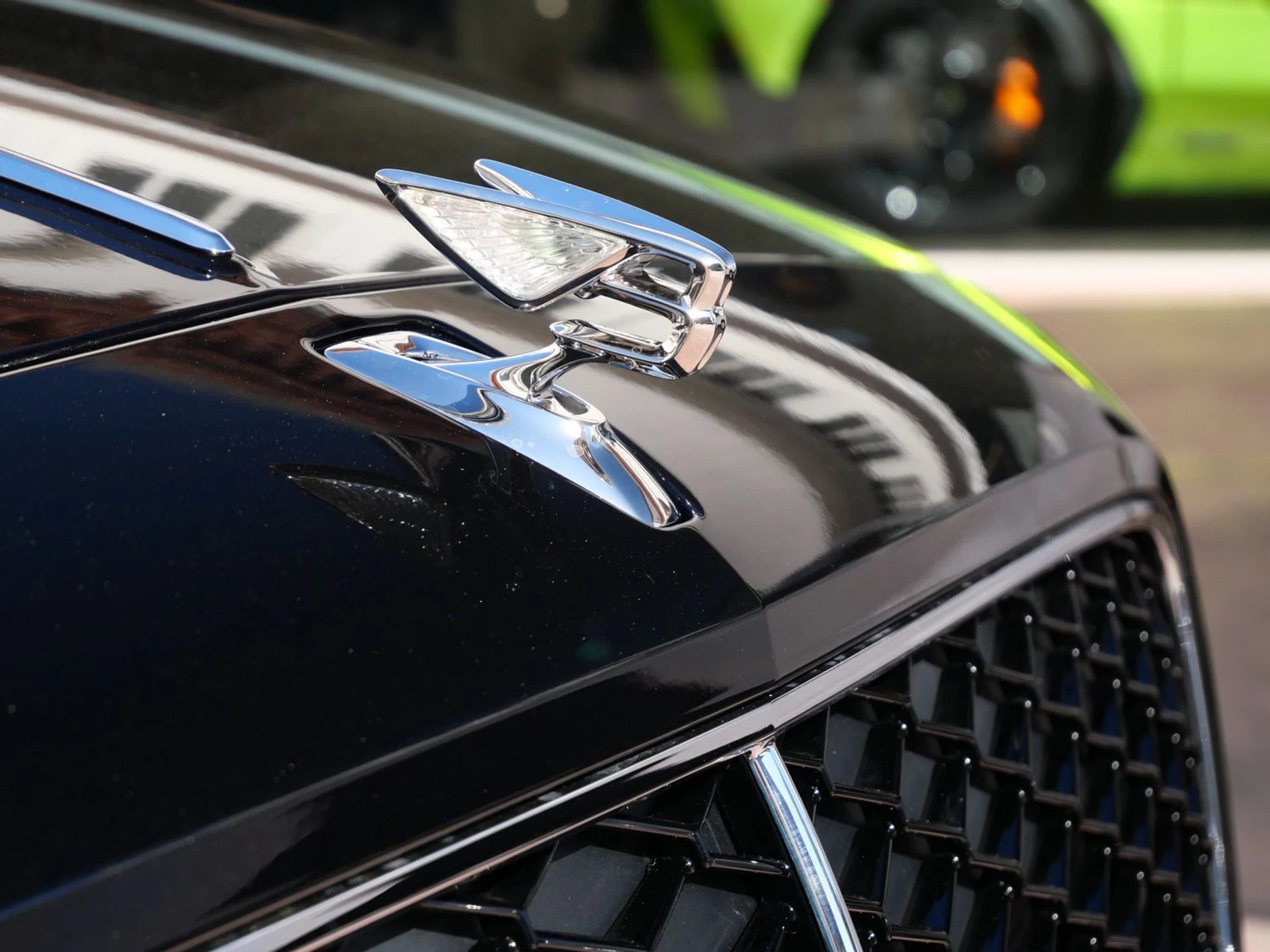 mph009_293869955_e364384afa1b9f63be103924f7d26d18x_1d74bc1375