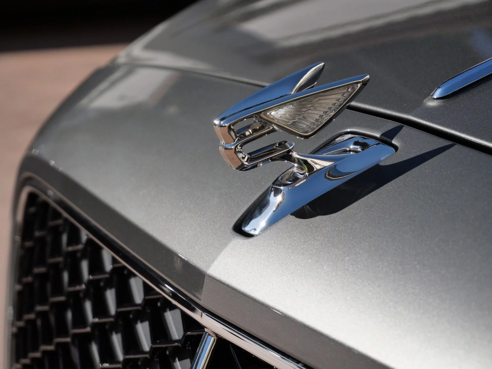 mph009_2988873060_768dde3dc809638263a060938a784c7cx_e8ce419545