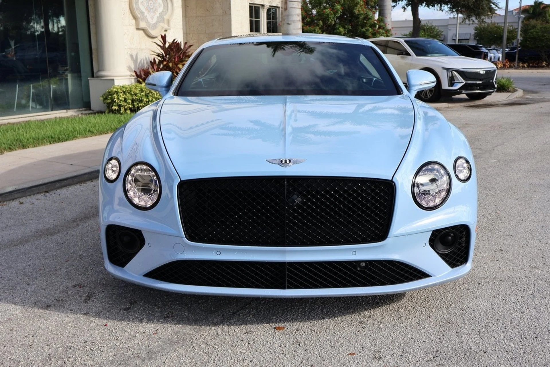 mph009_3022659353_10_fd84dbbe16