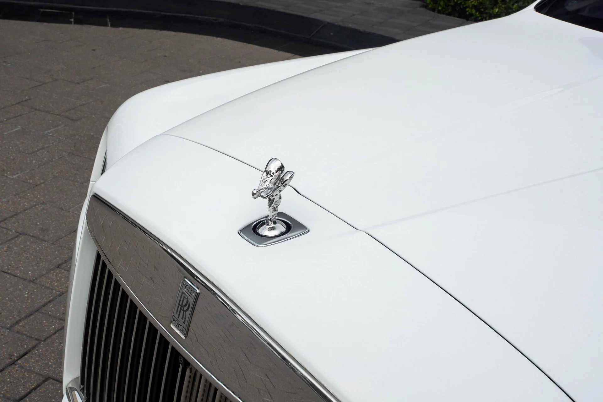 mph009_303107733_477983144_695f53e84b0ded1c3975a612_11321d5905