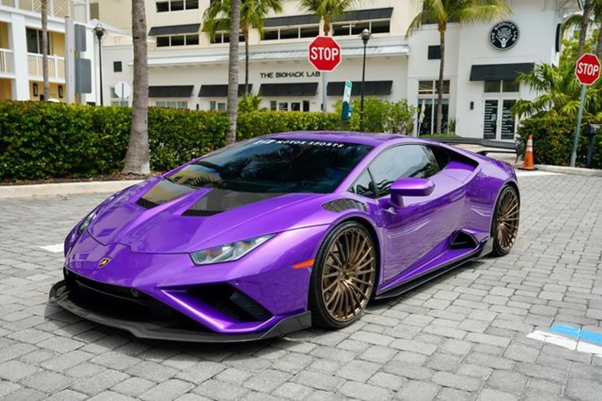 mph009_3049593703_23012204_10_d7ff354e2f