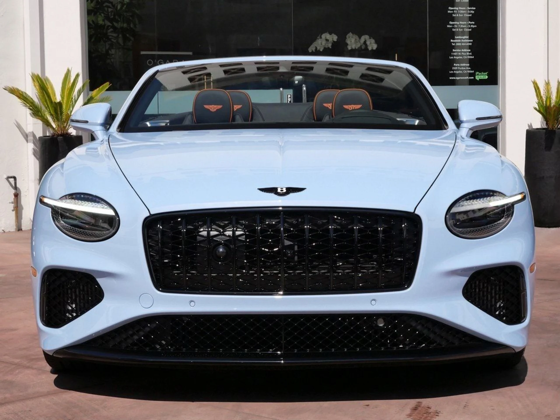 mph009_3051961341_97fe6fbfd3ba676d9d6c71ef98eb811dx_fe35324f44