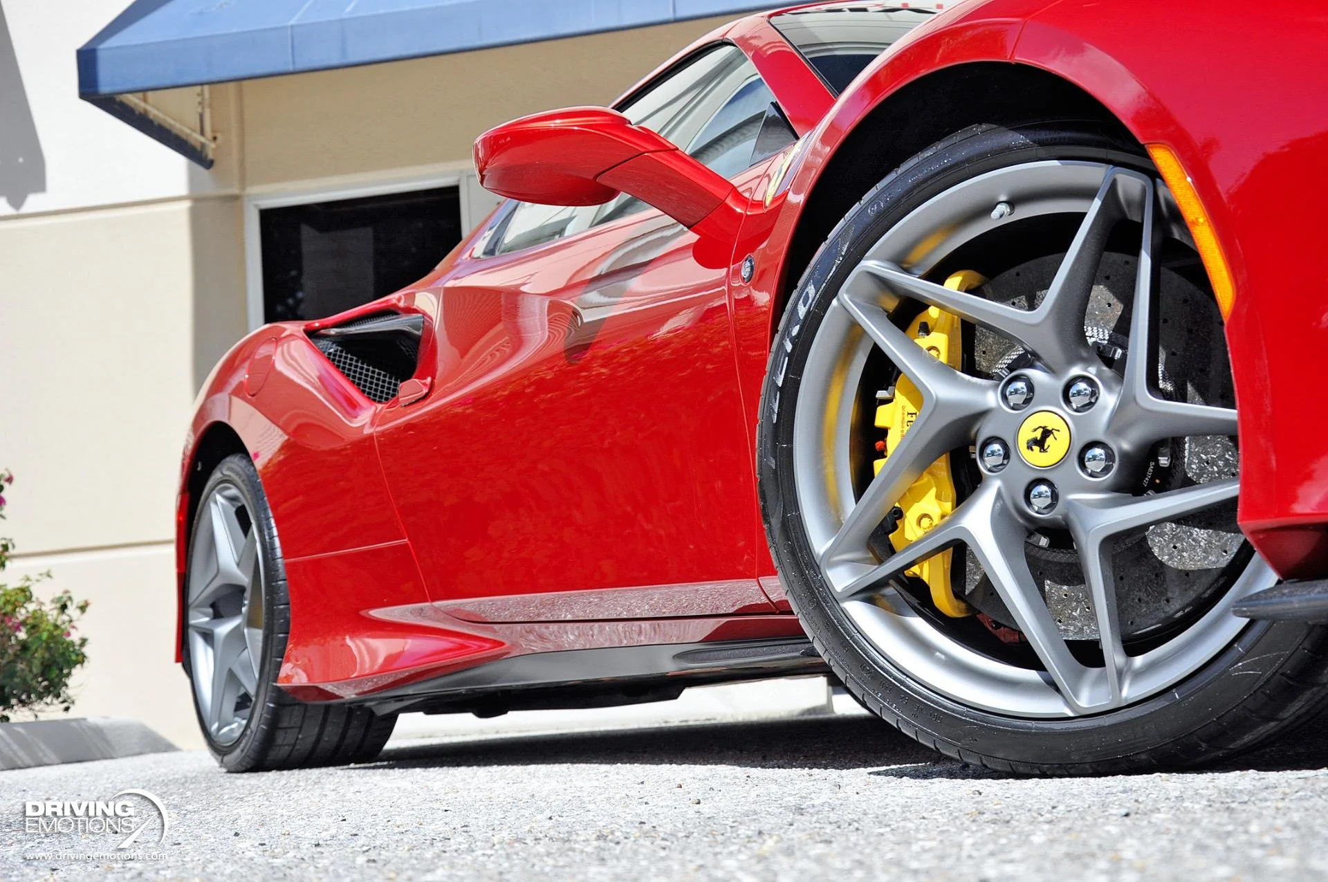 mph009_3067181413_896_p10_l_df81b9a68c