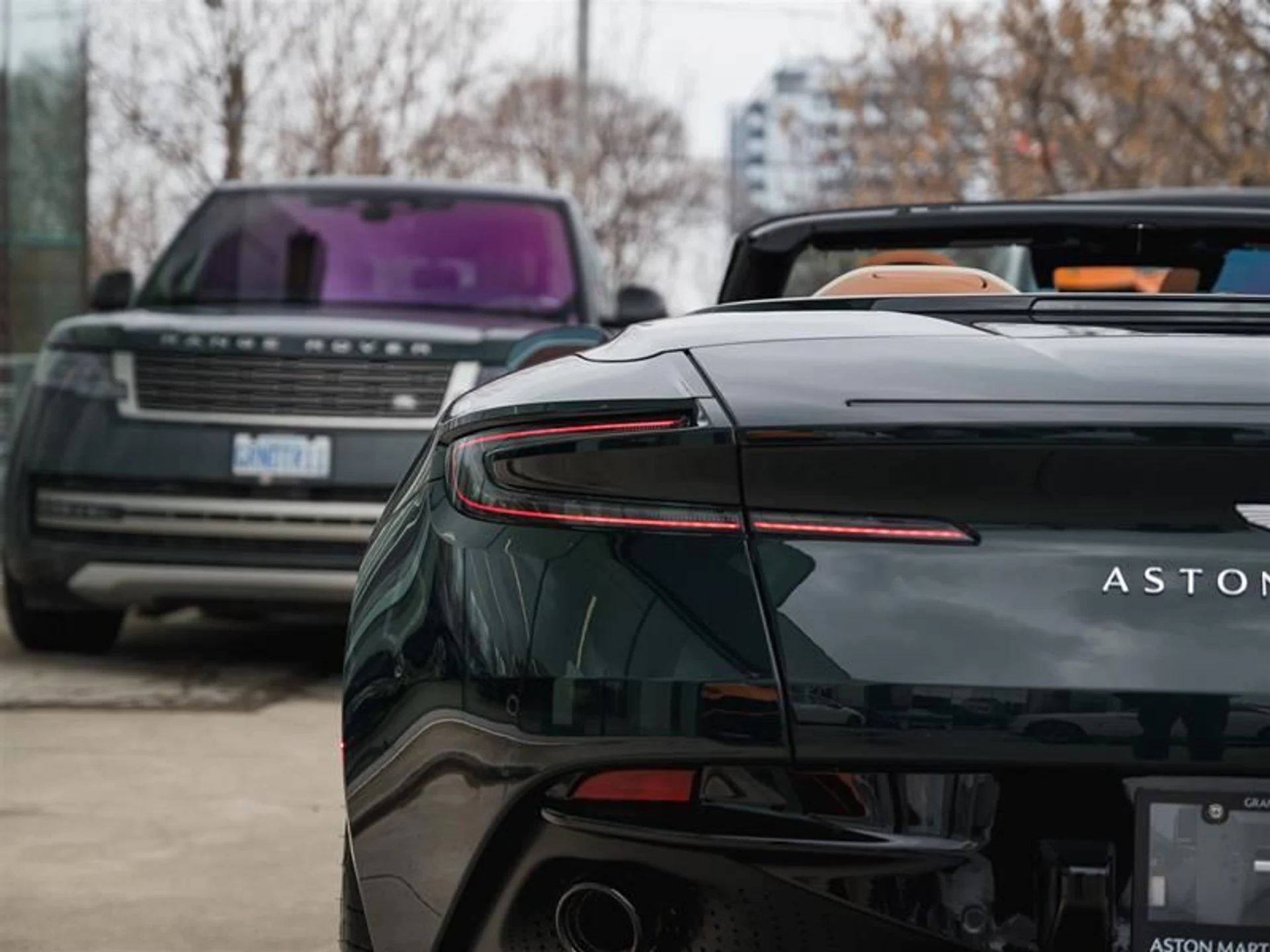 mph009_3072183281_1ylzg3ve_b1540521f3