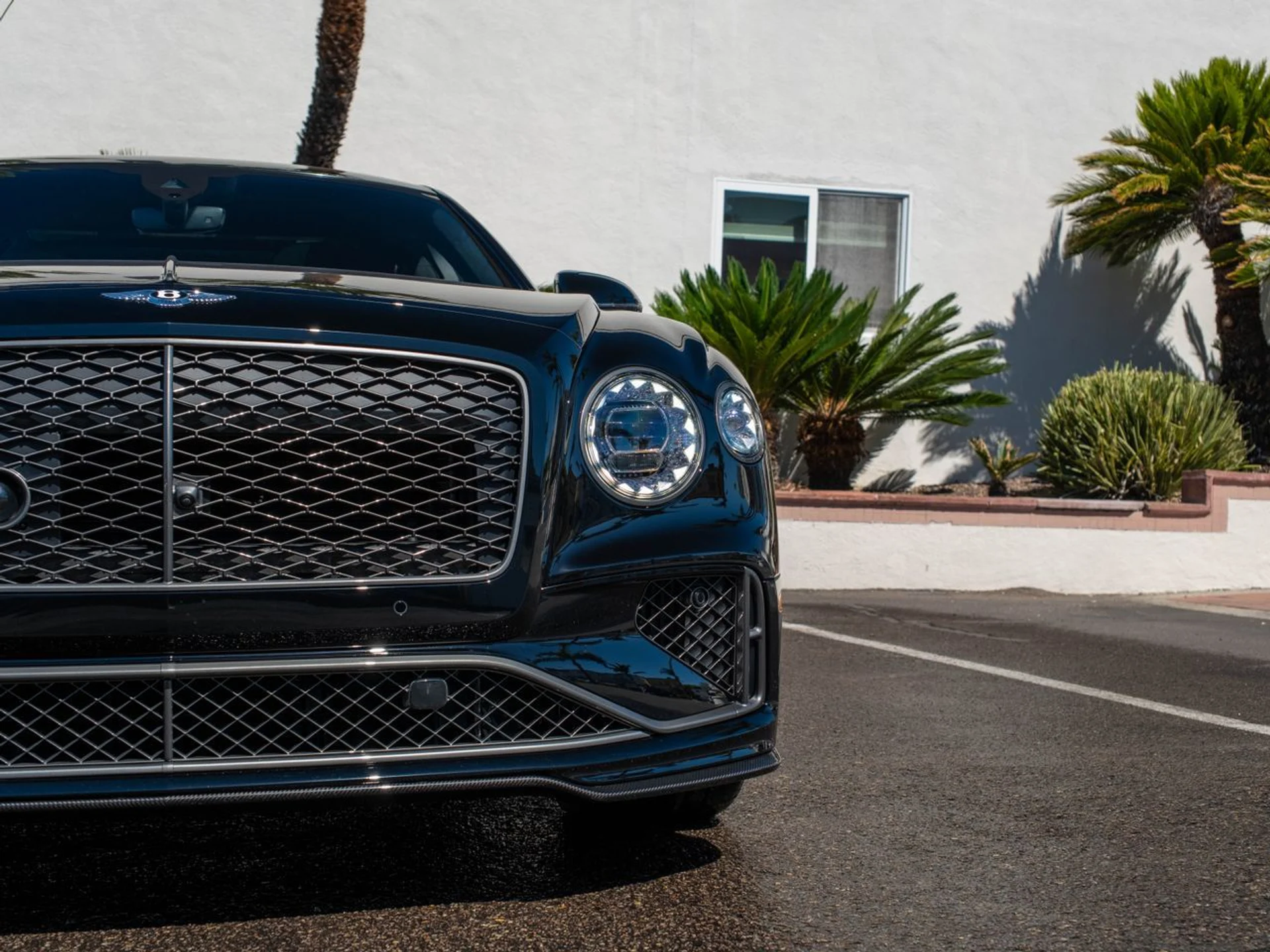 mph009_308752594_5a88b3104331576fba23a73750dbccefx_45411e7135