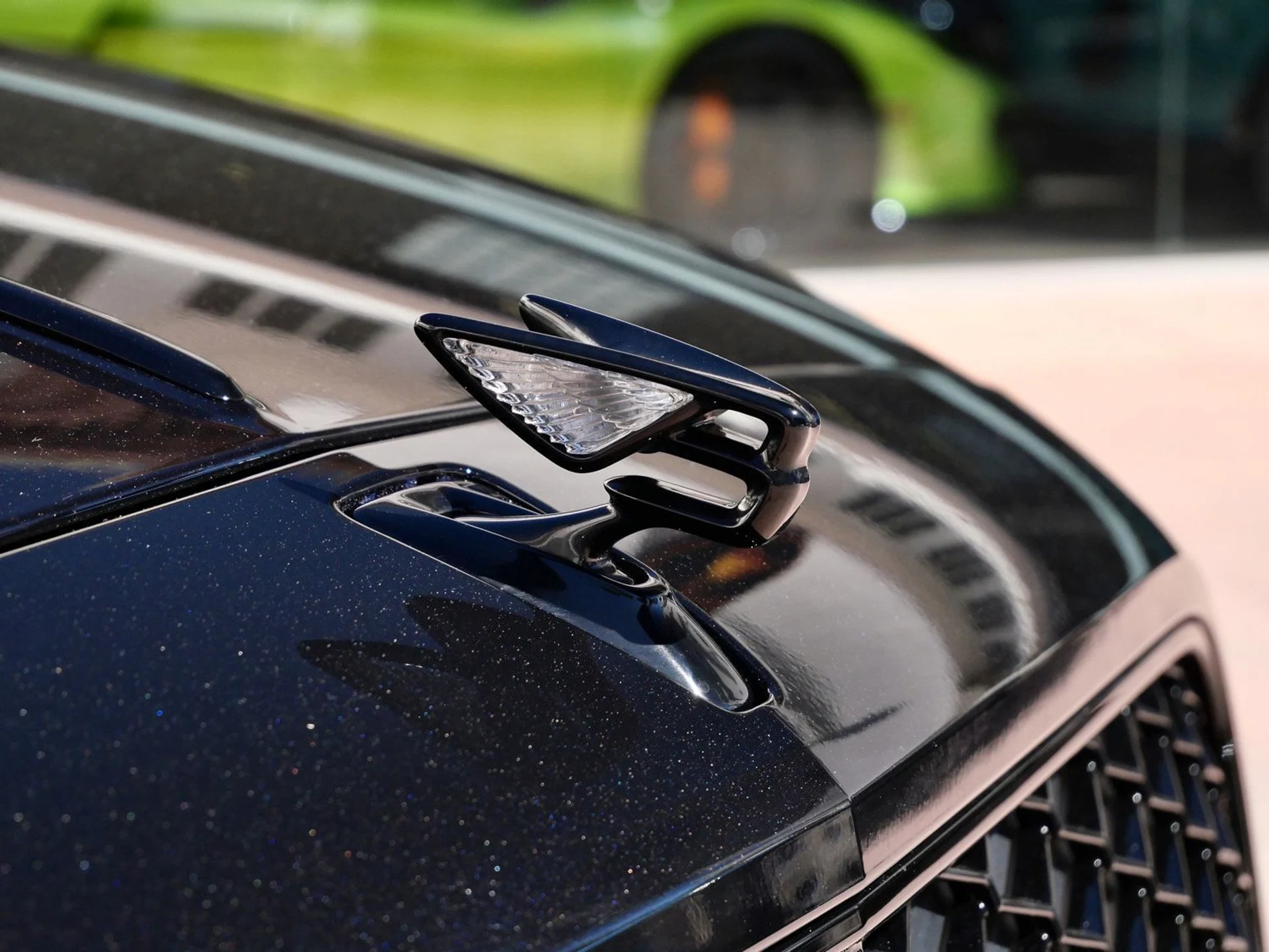 mph009_3123316843_7105f80445c691ca96e65fb99626d0abx_c784b49651