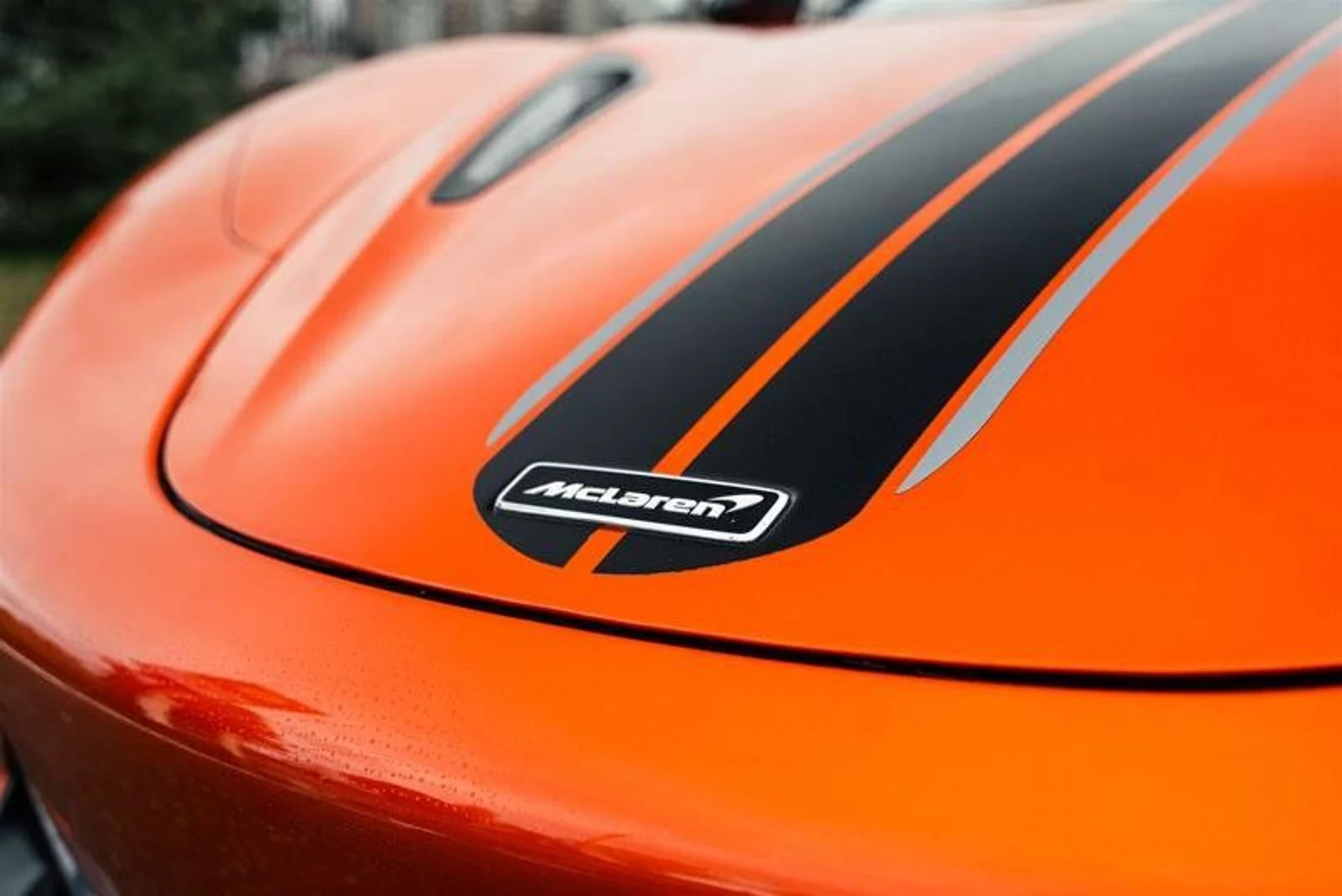 mph009_3129779629_38064052_01096_11852762_1624725064_7f0b3c9281