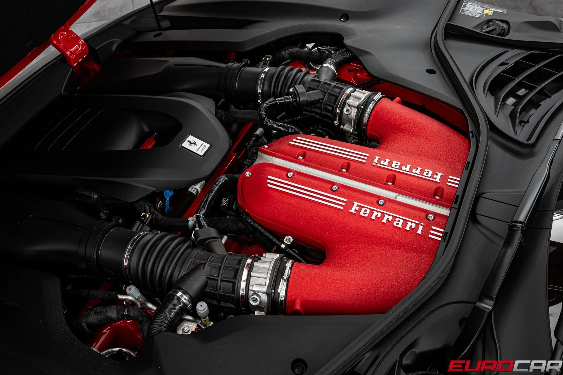 mph009_3154916425_image_10_74e5035566