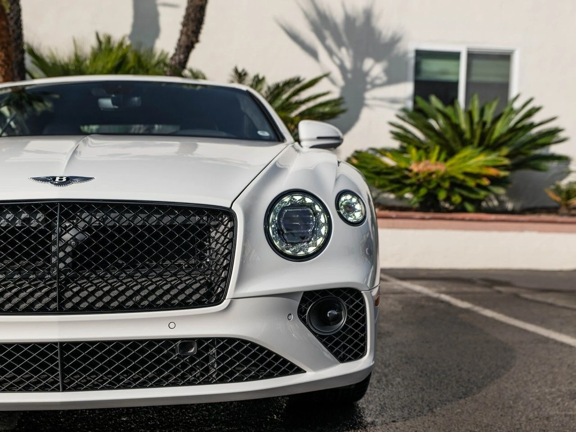 mph009_3173398097_1df94acff39941fbae3bffa164c2c9f9x_29386565f2