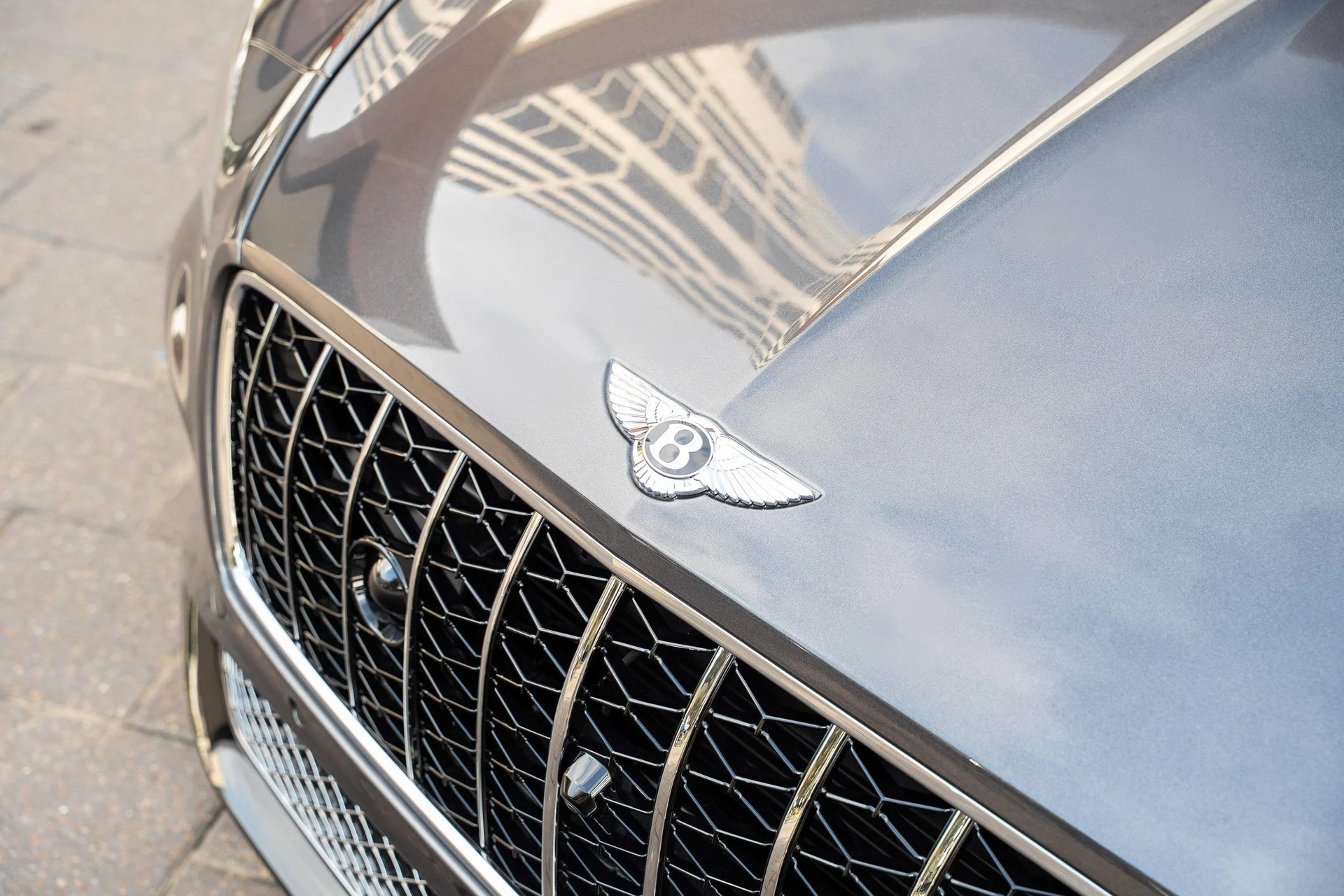 mph009_3211199811_470961999_692009b3af5727c8024d81f7_386de76416