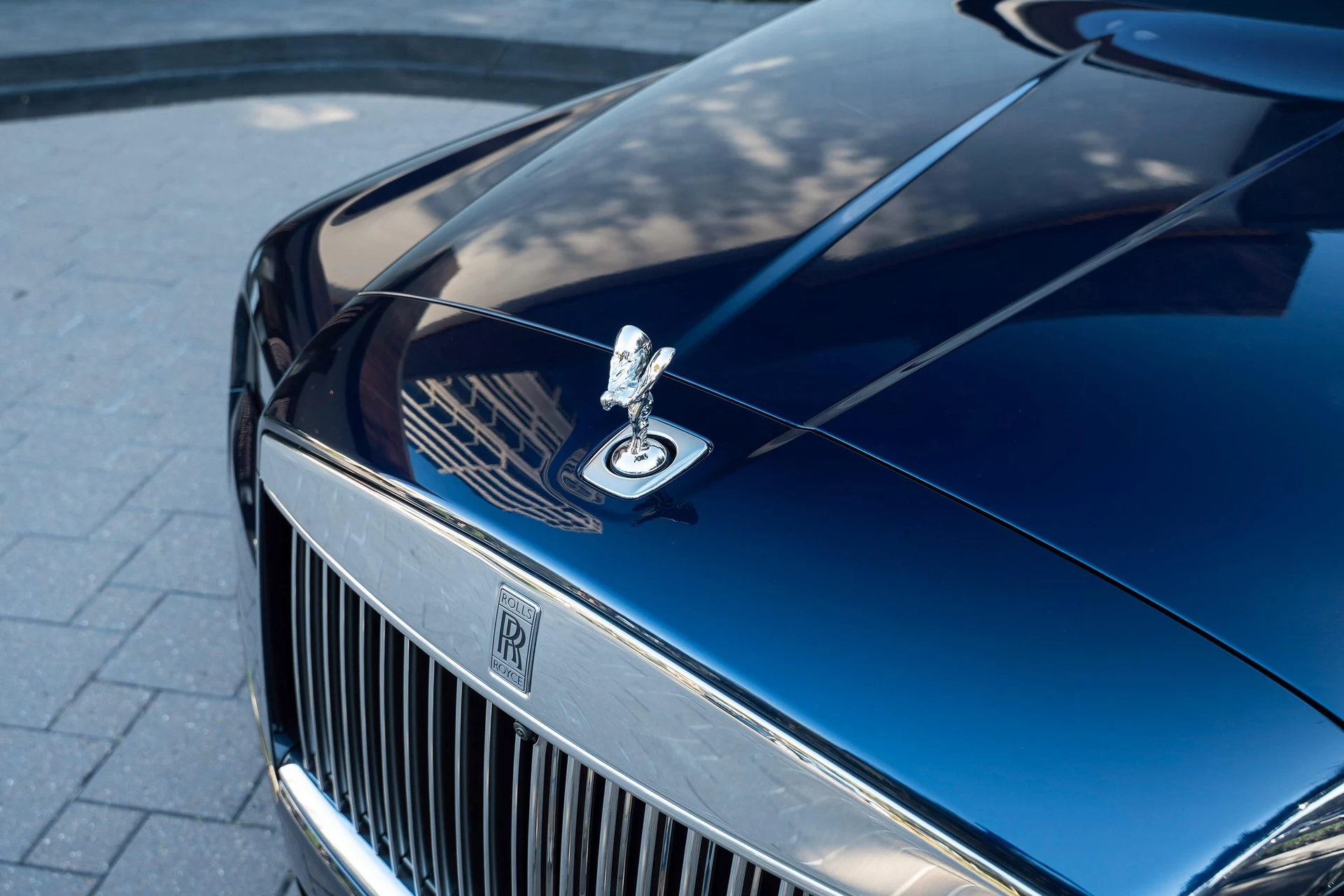 mph009_3265999167_465211304_695cc2a48f3ee920bf5187b6_5f17e5c918