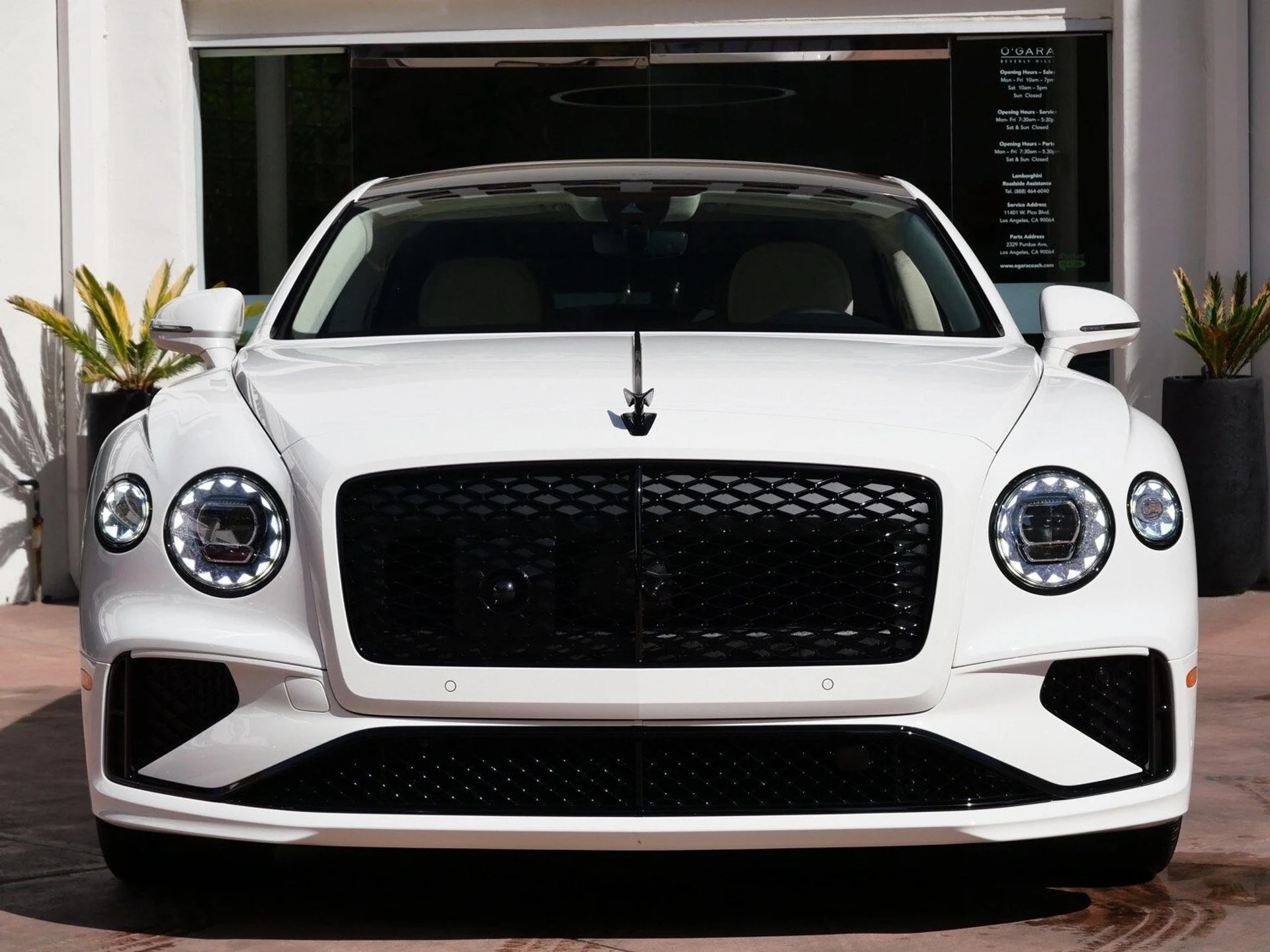 mph009_3320498707_ac08b5a2e14cec5622ca5fa5d5866882x_057a58677c