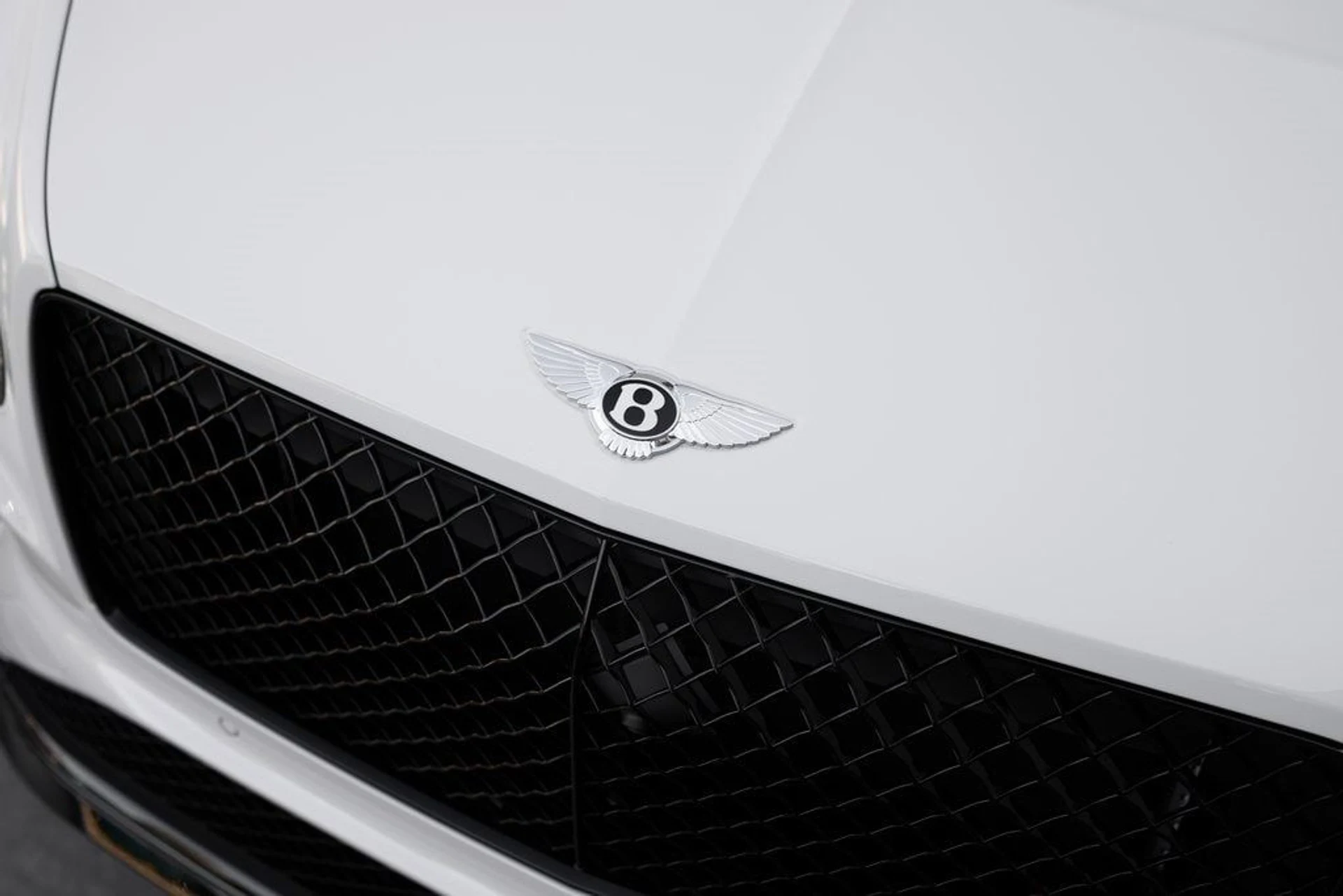 mph009_3320714728_1d80297bbaae07c9838a7cc8d17d4e99x_0df803739a