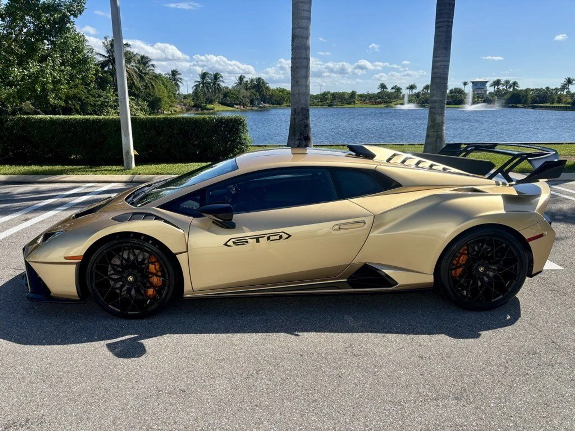 mph009_3336057945_c10ef8793b474d4e2600d57cc6ed05f7_3f3f6f9dc2