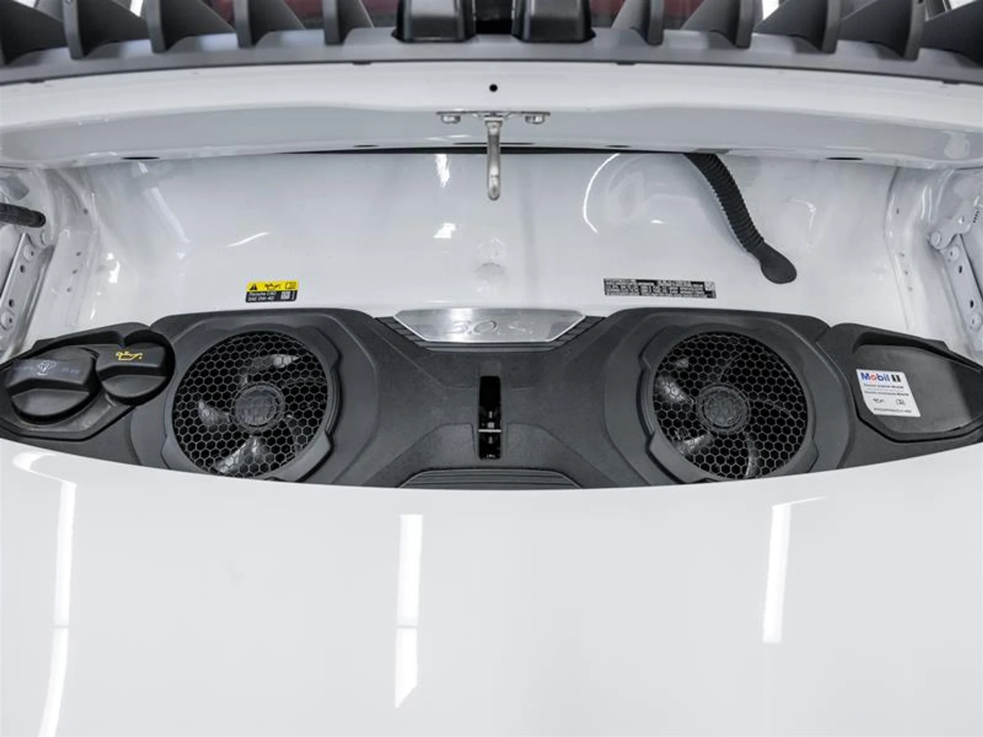 mph009_3368503599_11640000_1552967573_e2fffbc968