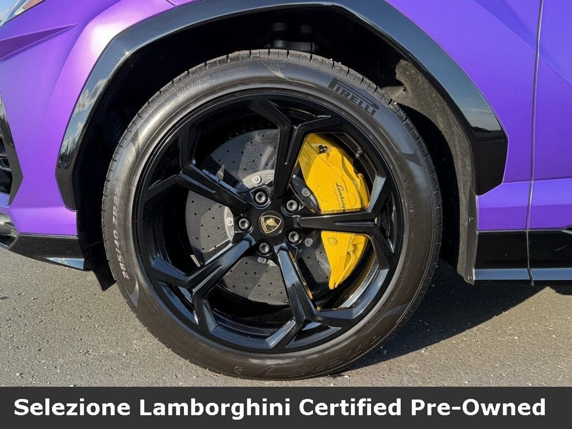 mph009_3438682811_90187a31b7e2c1a87bcc1ba22c75240ax_9e33a59123