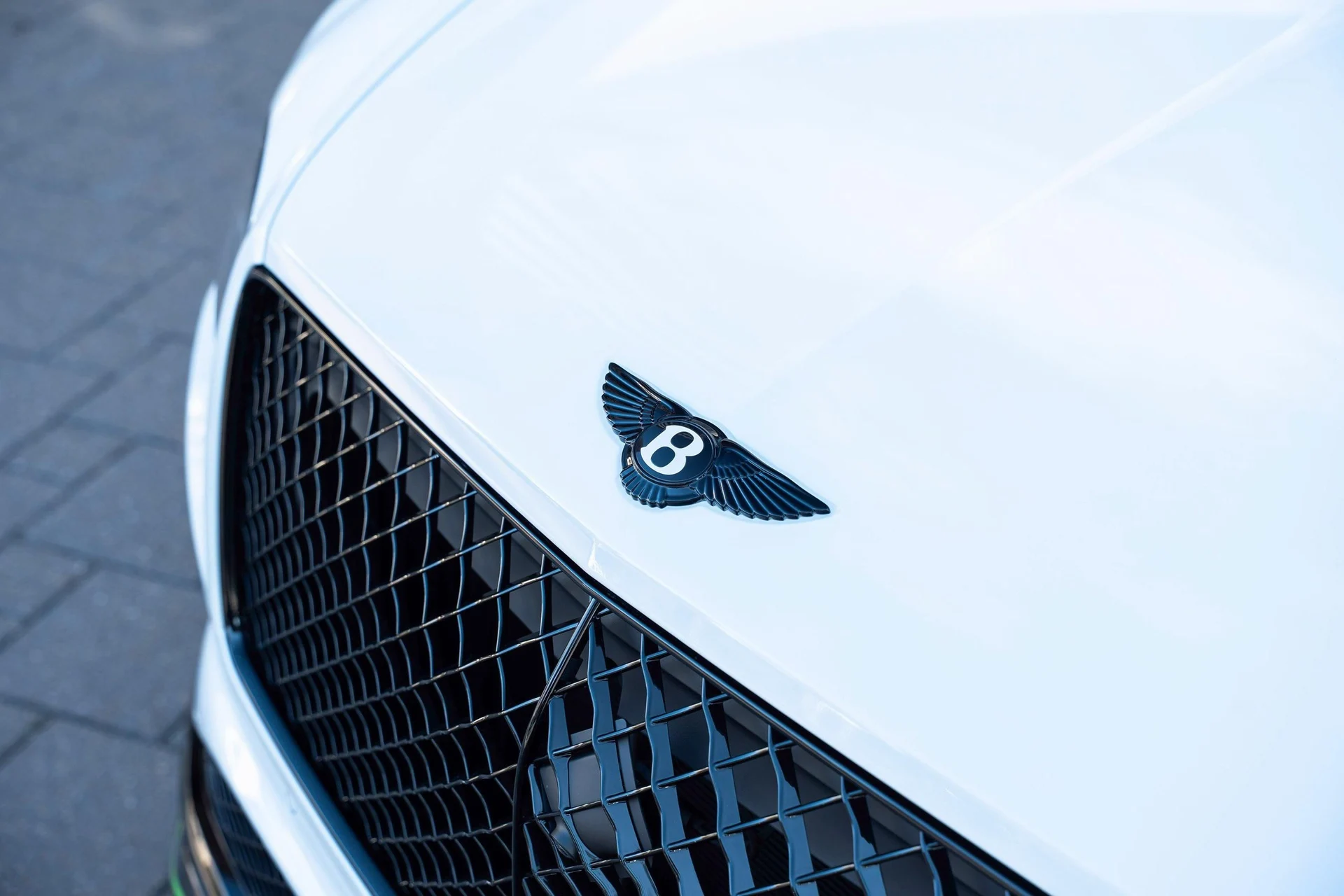 mph009_3442469416_478163256_69859509752b933c324799b0_7c1704ca78