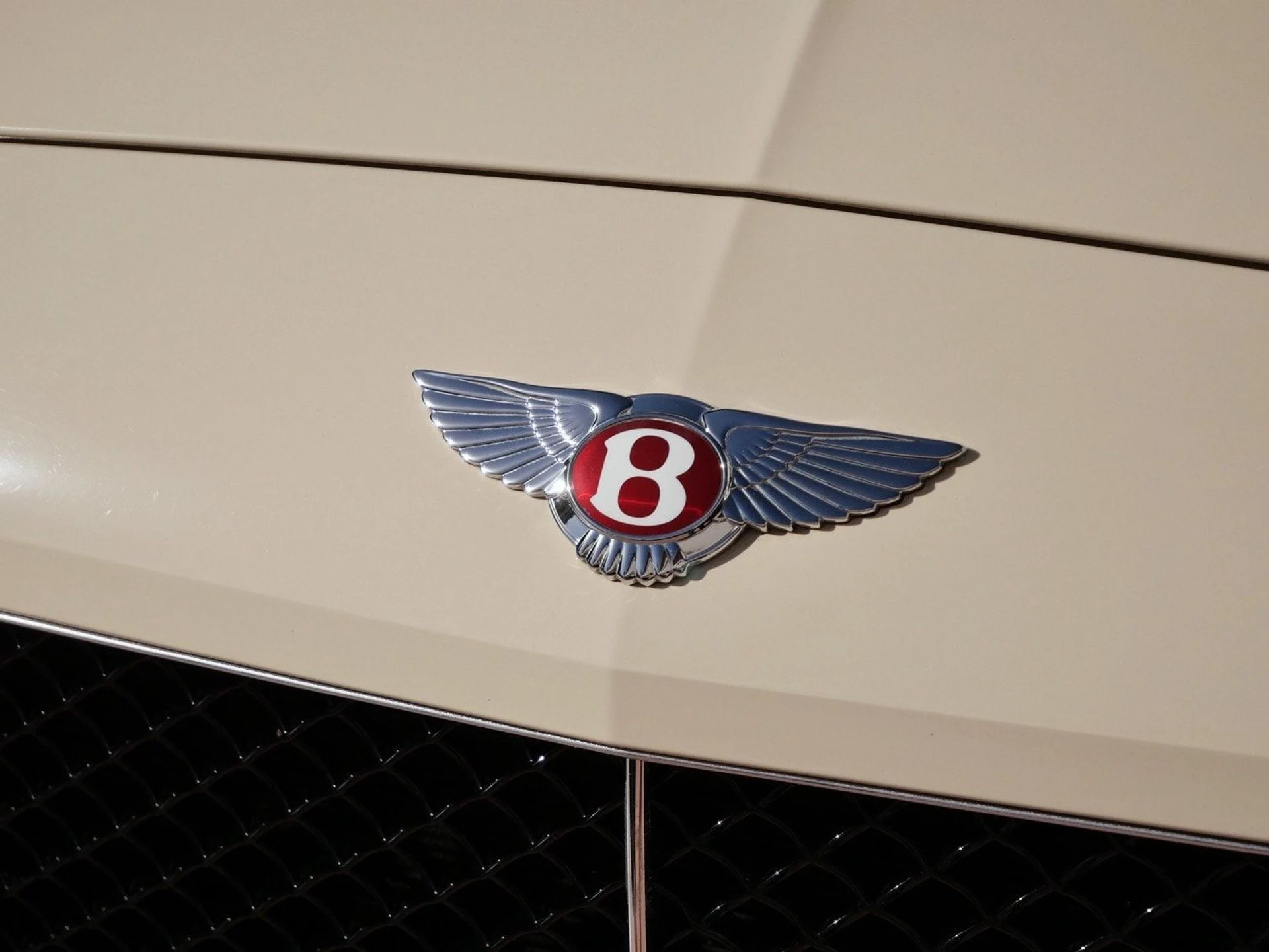 mph009_344317954_99f84fa632782acf467ba3a88dd870ccx_470141e5e9