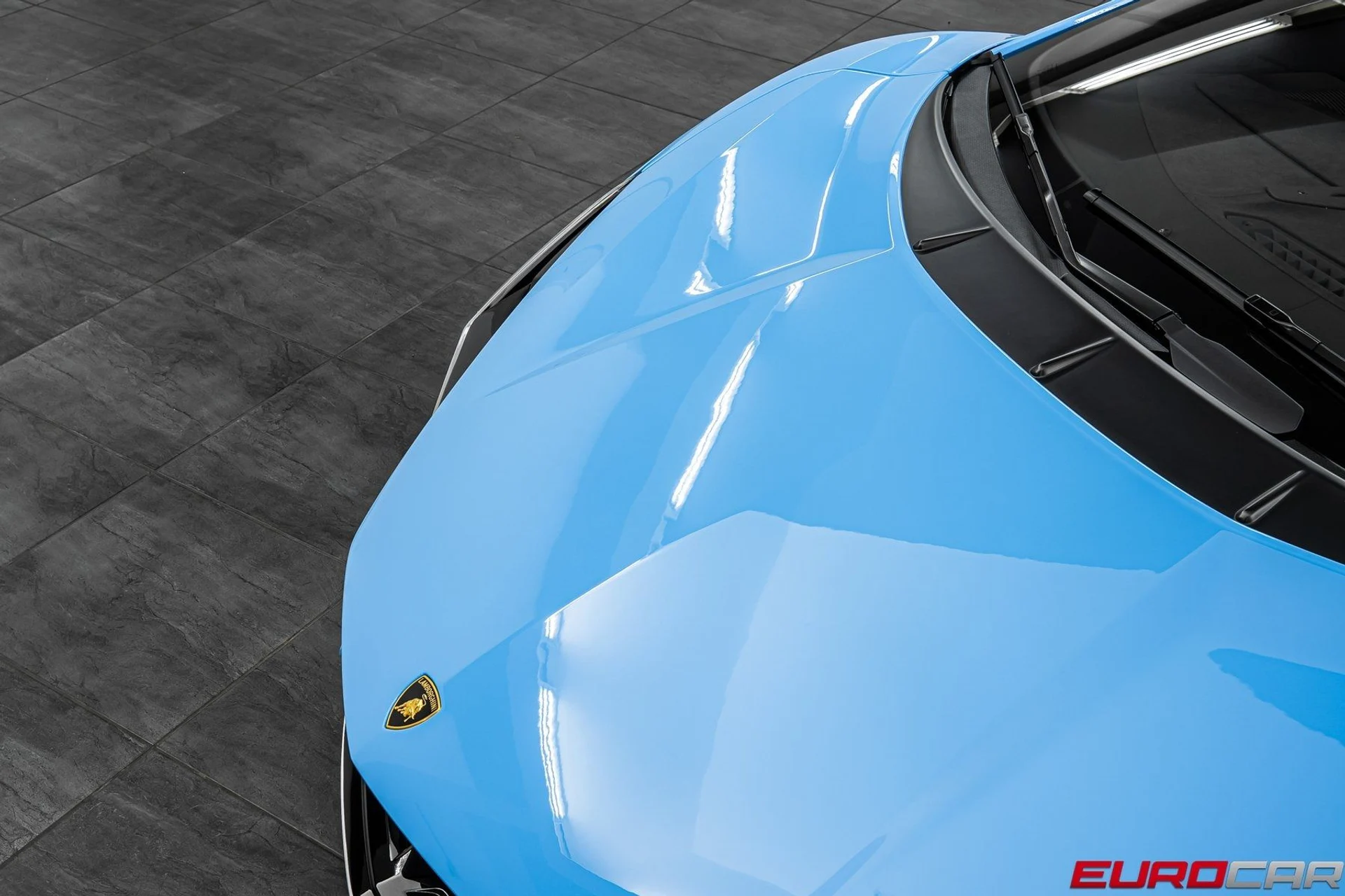 mph009_3501732135_image_10_5d021dd52c