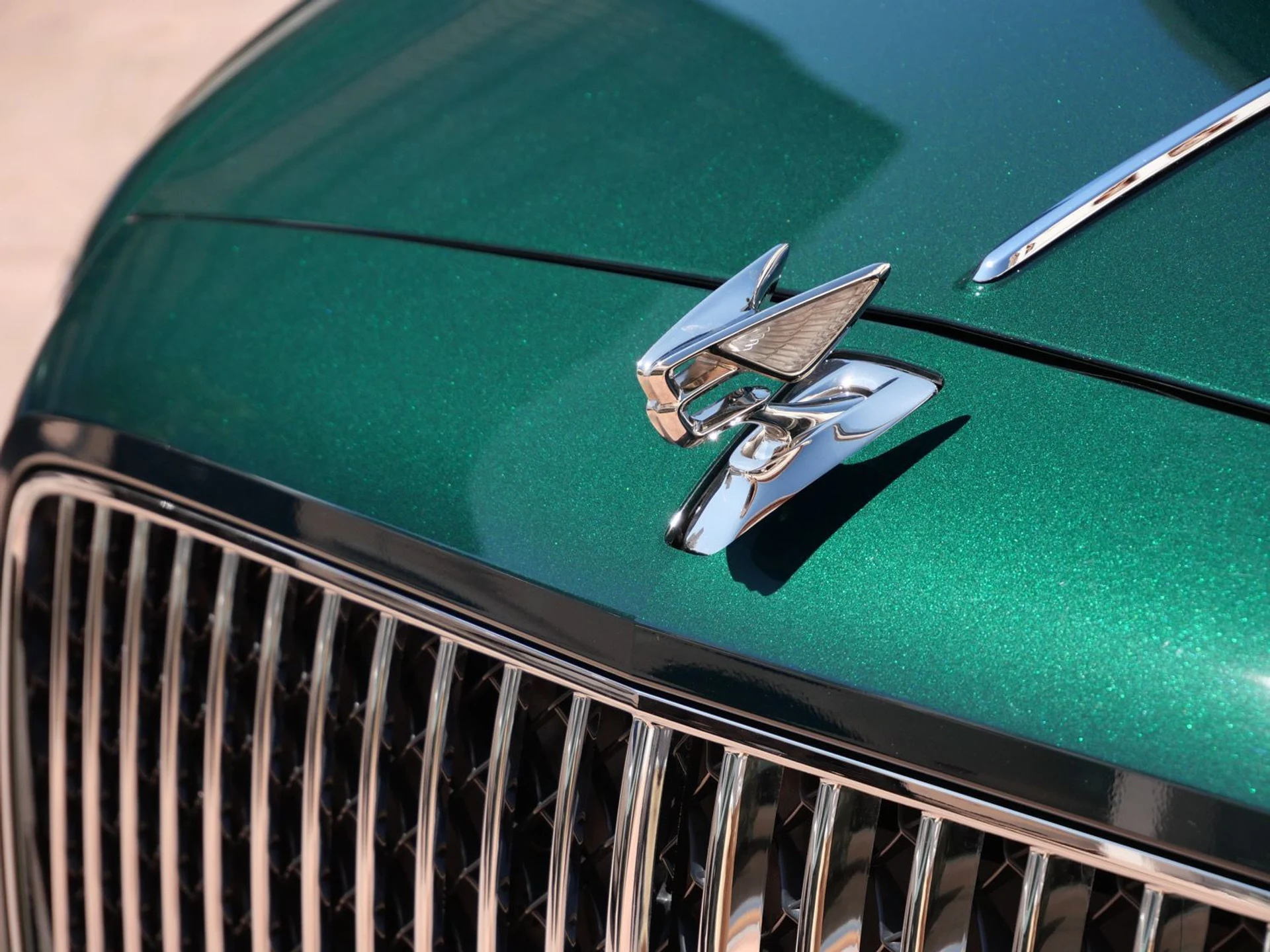 mph009_3580846990_b91219f82e3ca025bf585e0aa7b51f3dx_53c01ea29b