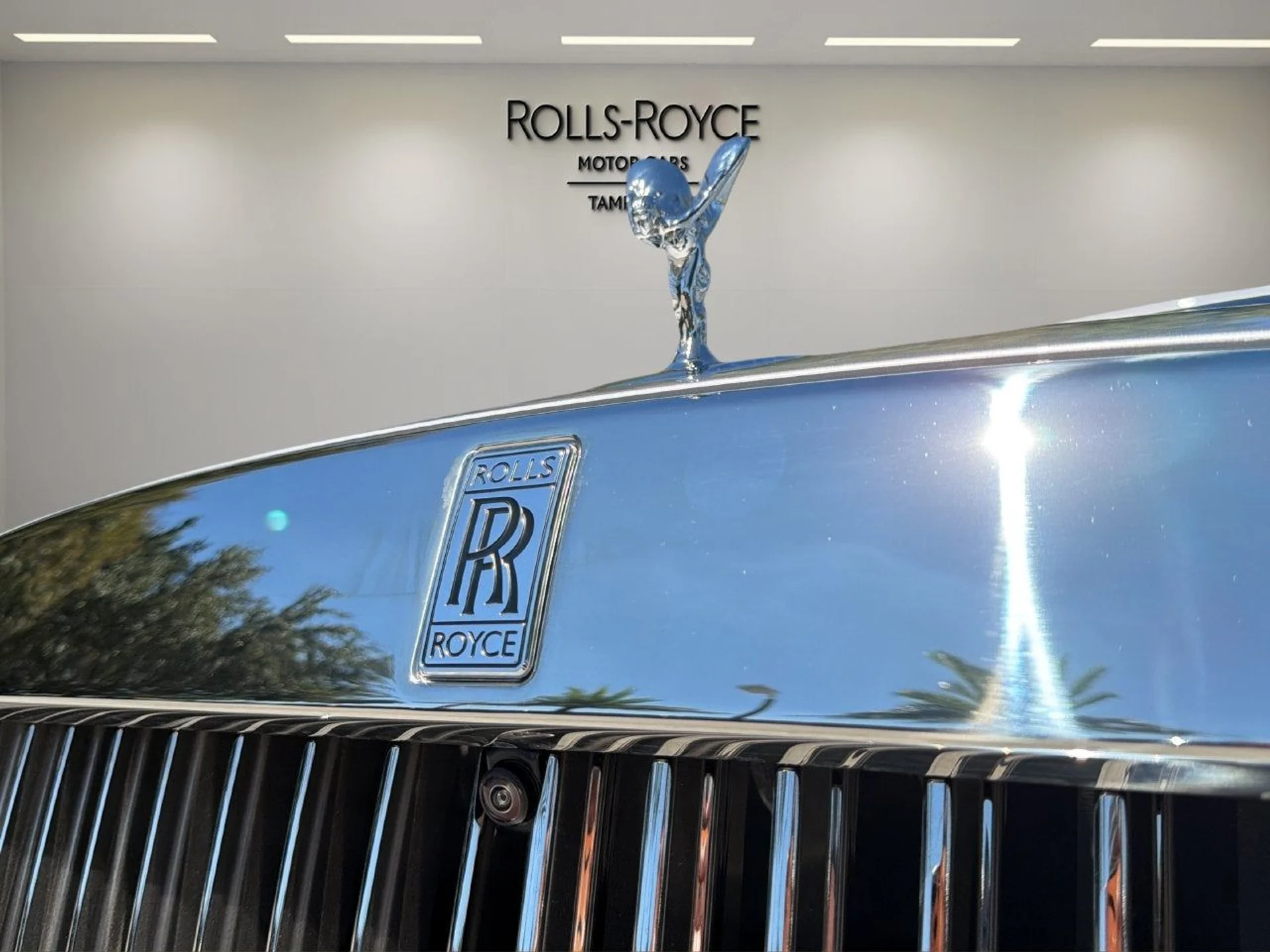mph009_3600419545_10_cc655c546d