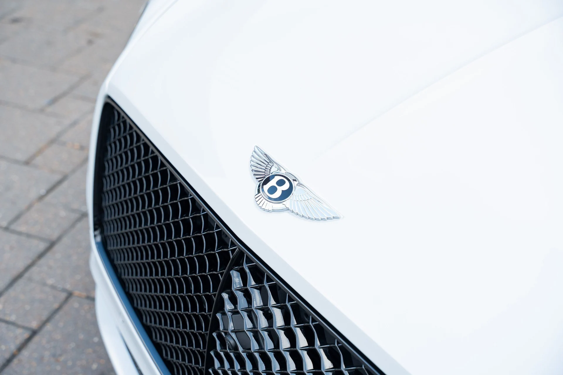 mph009_3614360637_image_10_2be0a51e4b