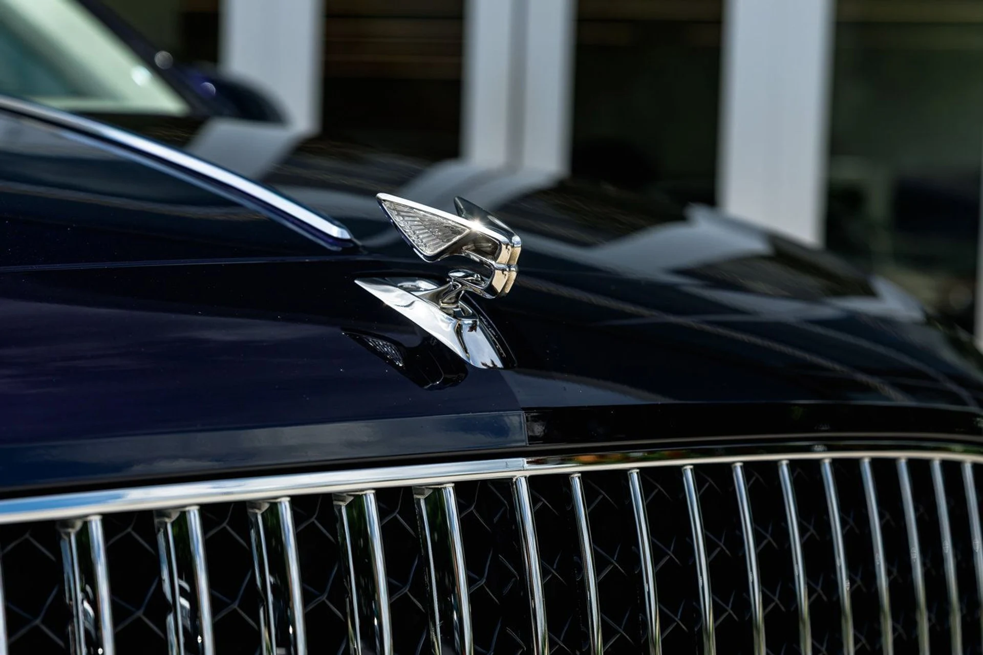 mph009_3623301905_2c436508a93524164f35d2d963ca8d35x_c000f6deaf