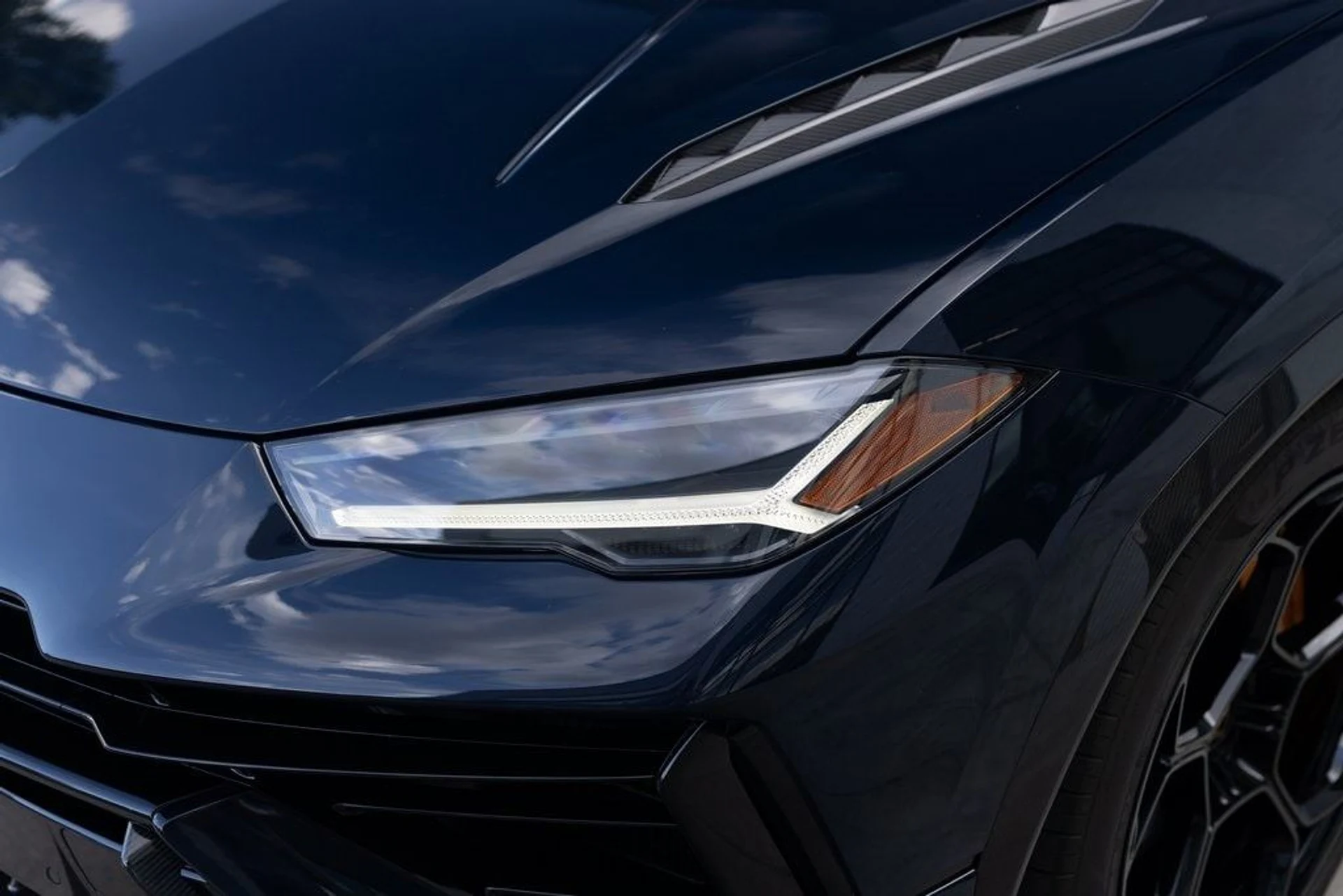 mph009_3658768749_09069c303f9de6e72b6098fdce749a6fx_cfd24eb66e