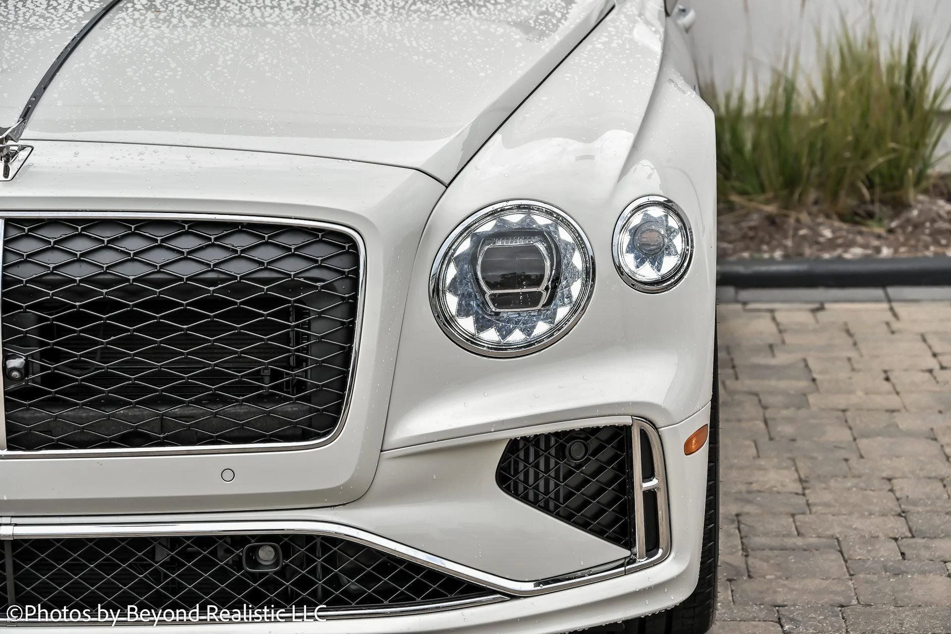 mph009_3676654799_9c3de711716ef8acc0b24e74cec27e09x_ece39d1140