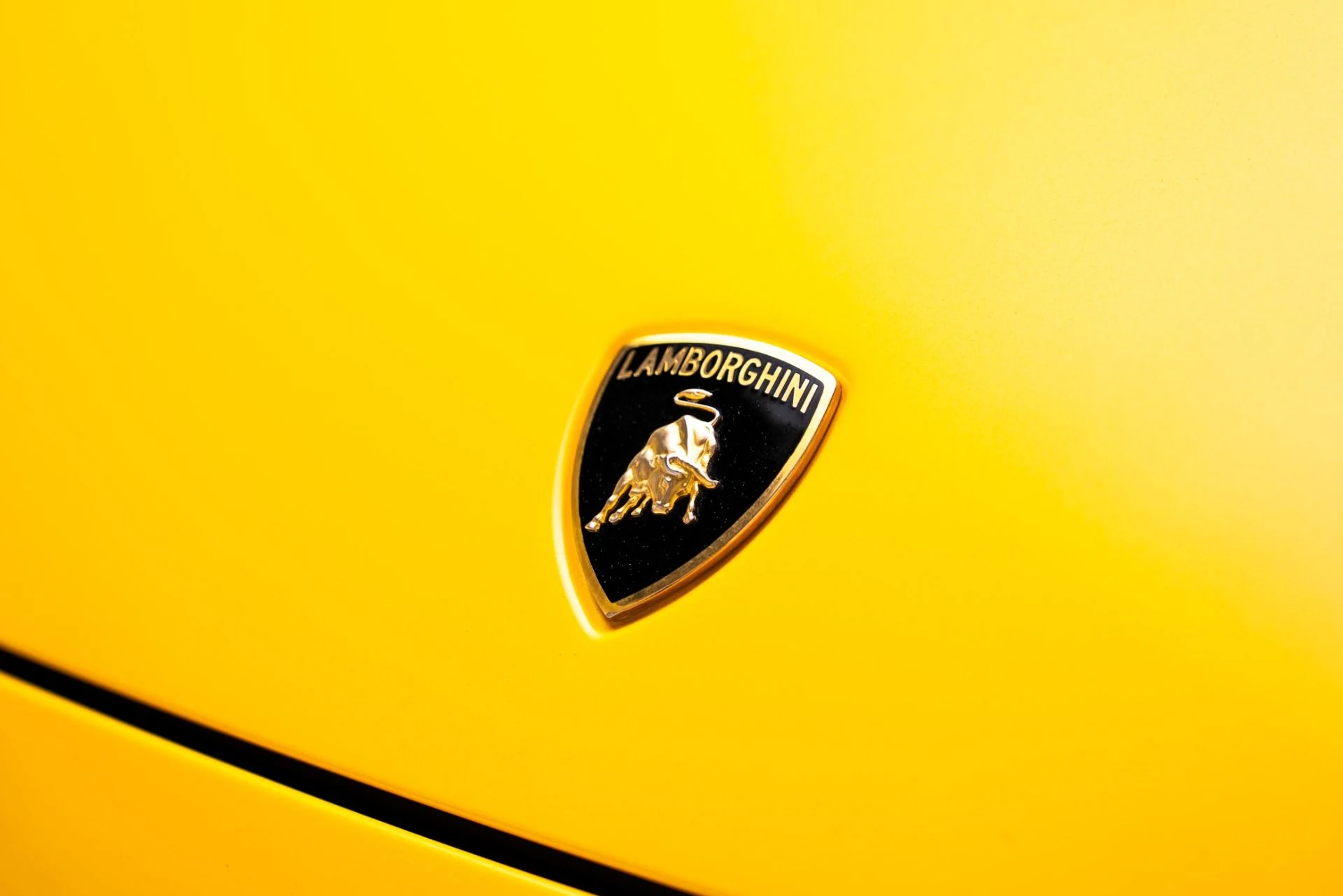 mph009_3700256524_Used_2004_Lamborghini_Gallardo_1769620363_7c7e0b6aba