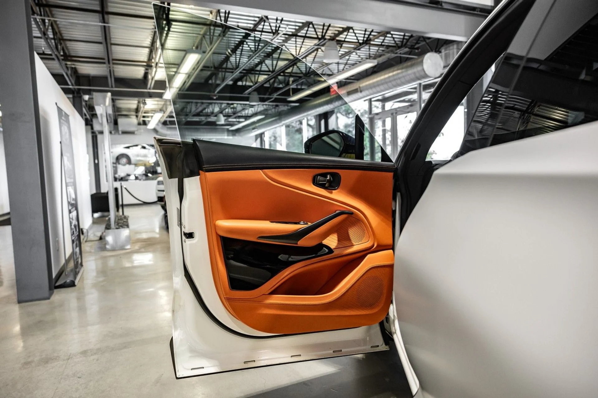 mph009_3723405179_l_Q_0081e06aa5