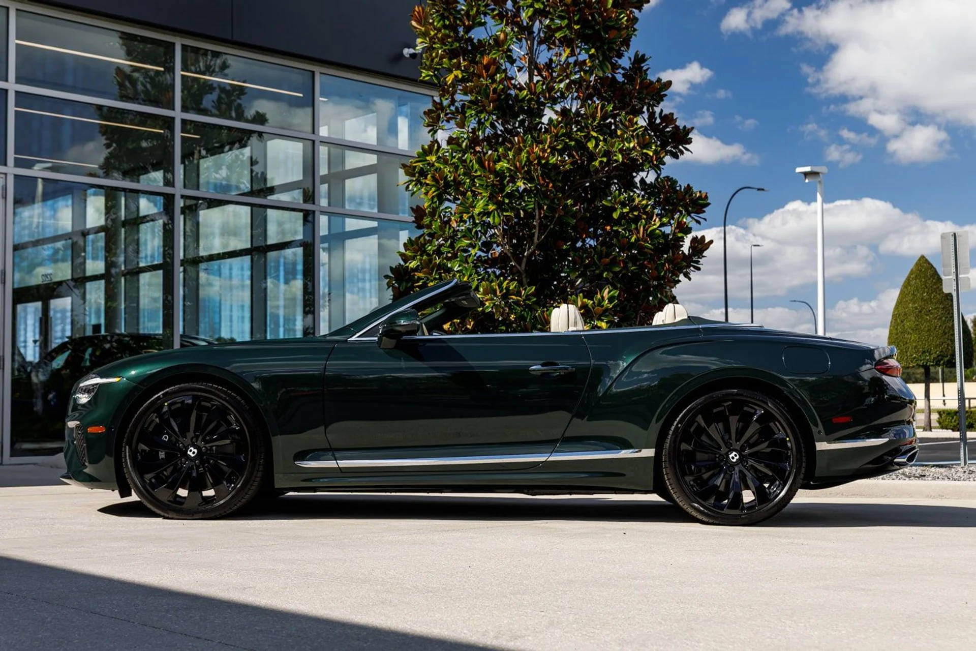 mph009_3737556836_781415a57f61eb9c98230e4c9148db1cx_6826baa24f