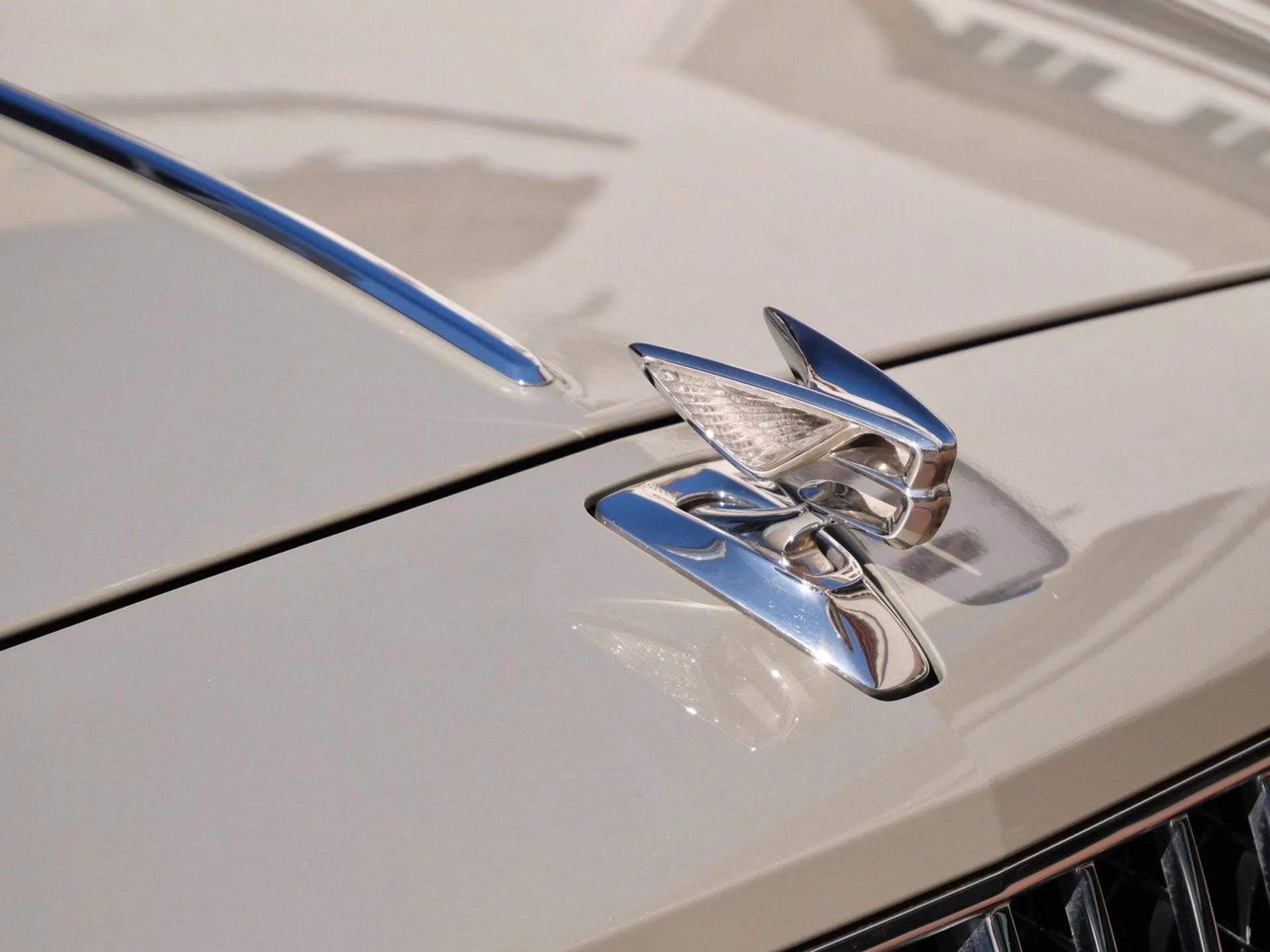 mph009_3773469749_697534f53dcc4d1a836a6cf081aedc70_bedd311740