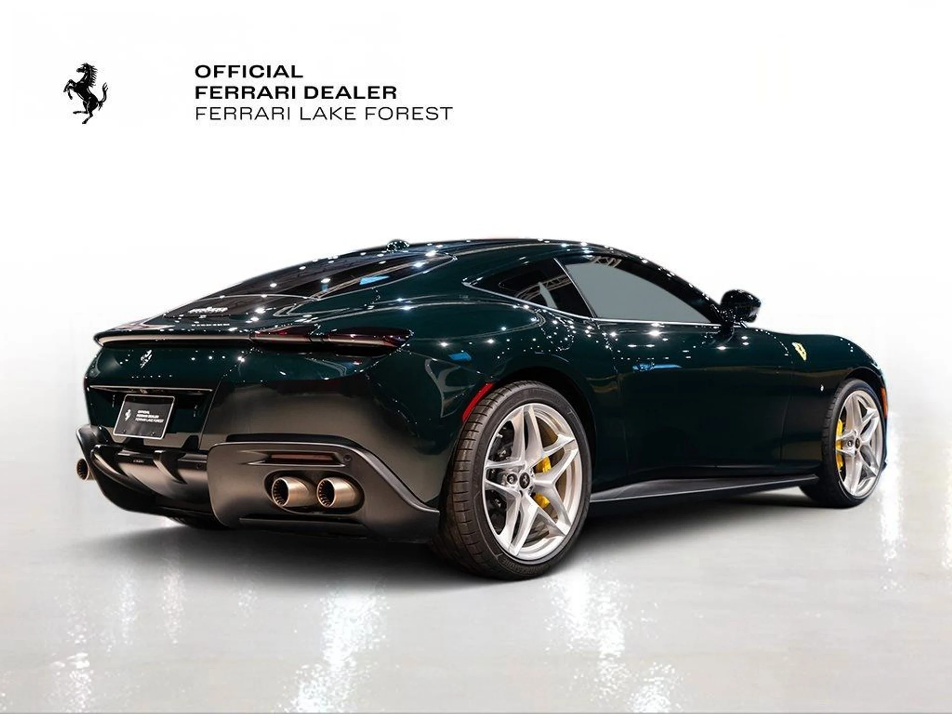 mph009_3804959823_551314b92534ec11adb1d4fabaab3d69_4f90544438