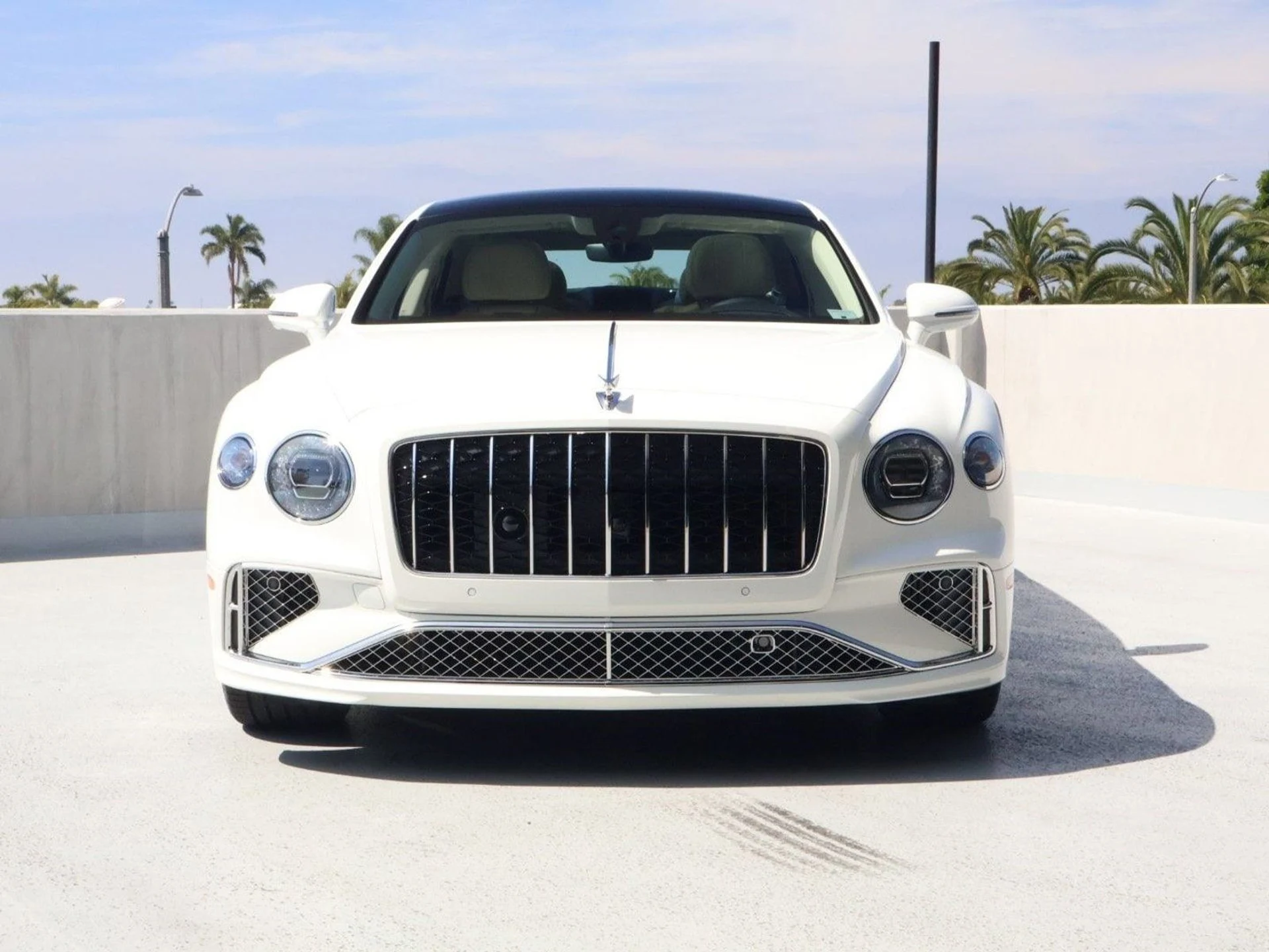 mph009_3817431668_01031dba99d35fd5799a066964dd3fd6x_ffdc2f4362