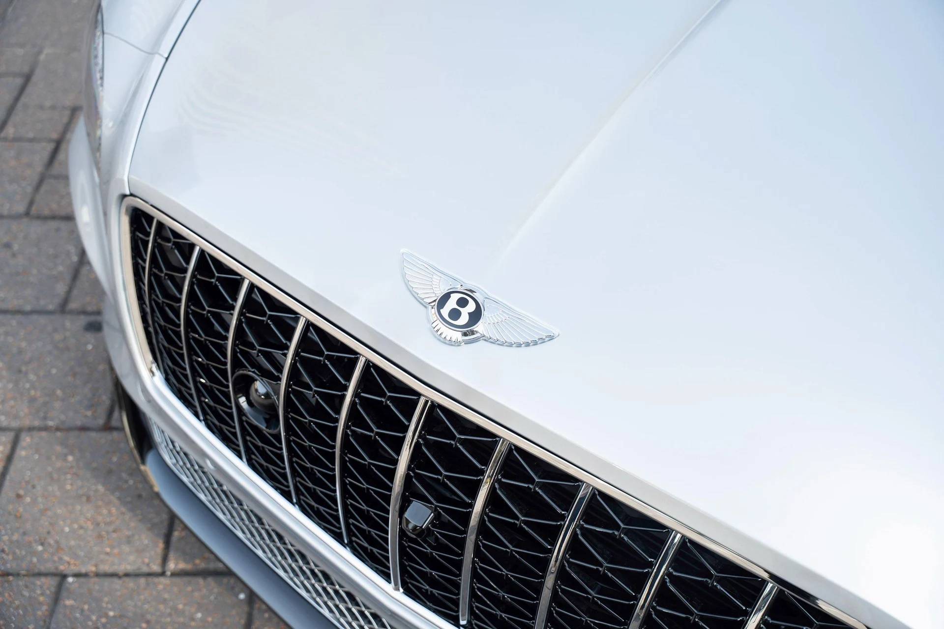 mph009_3823372198_477619926_69423fb66f06135f3b57d9ca_46d8547713