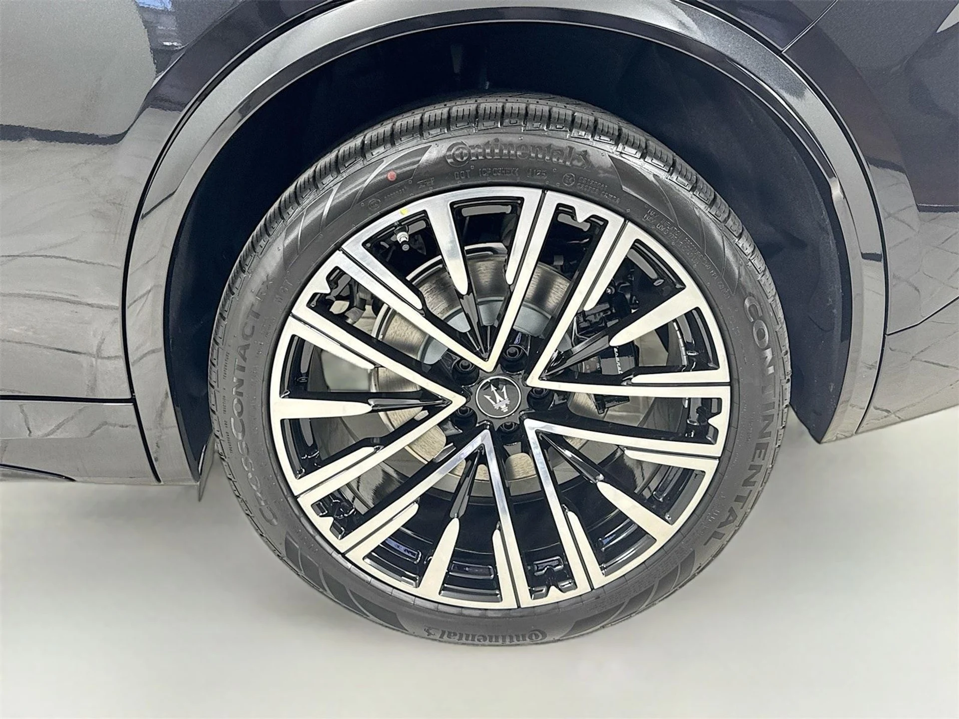 mph009_3846476646_4f5fa0547a0915c2261285a7bec9d977x_e4015574b2