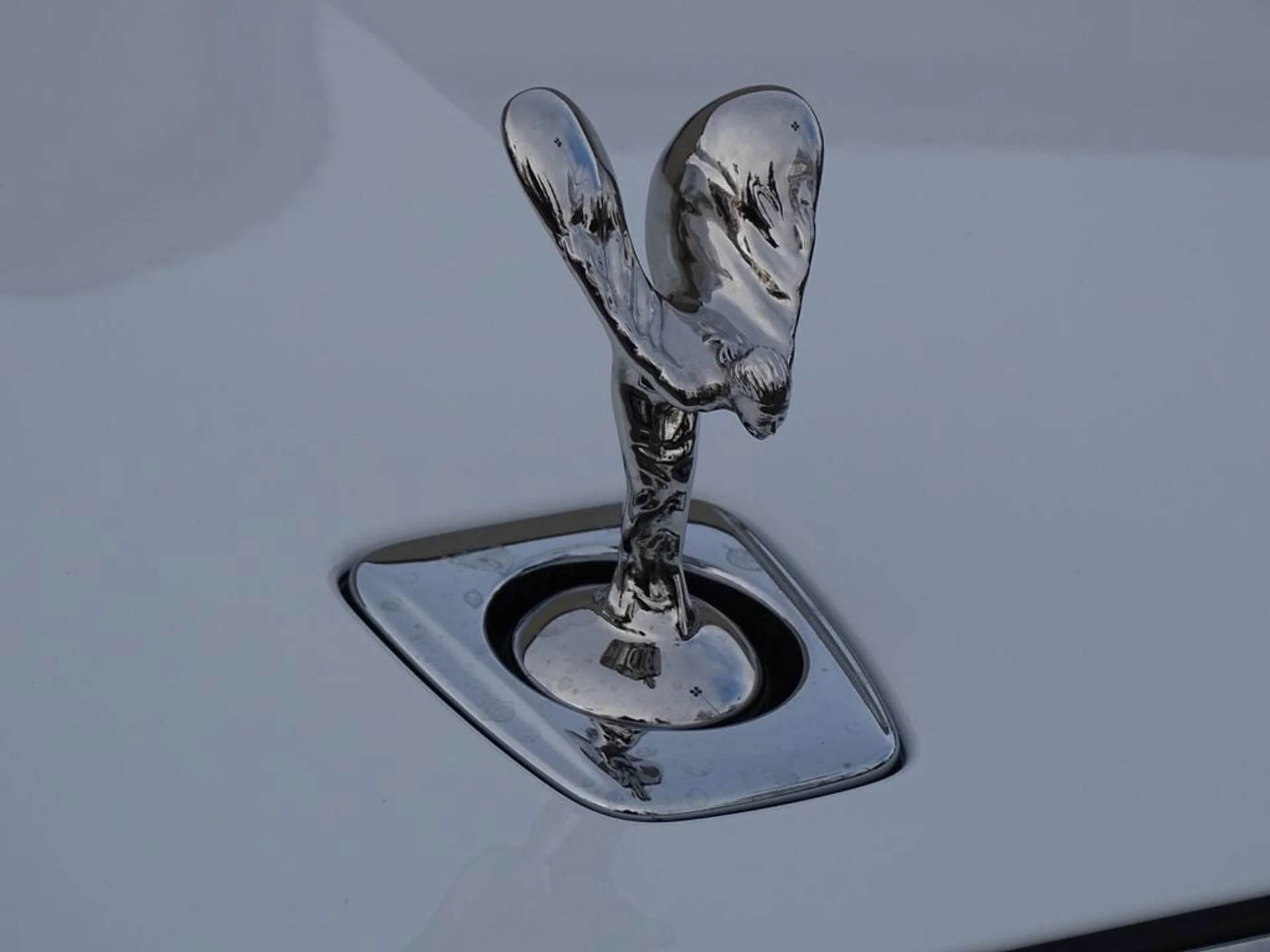 mph009_3883640285_ca028d388cf79fec179a6716051e01c1x_e77ddc2d20