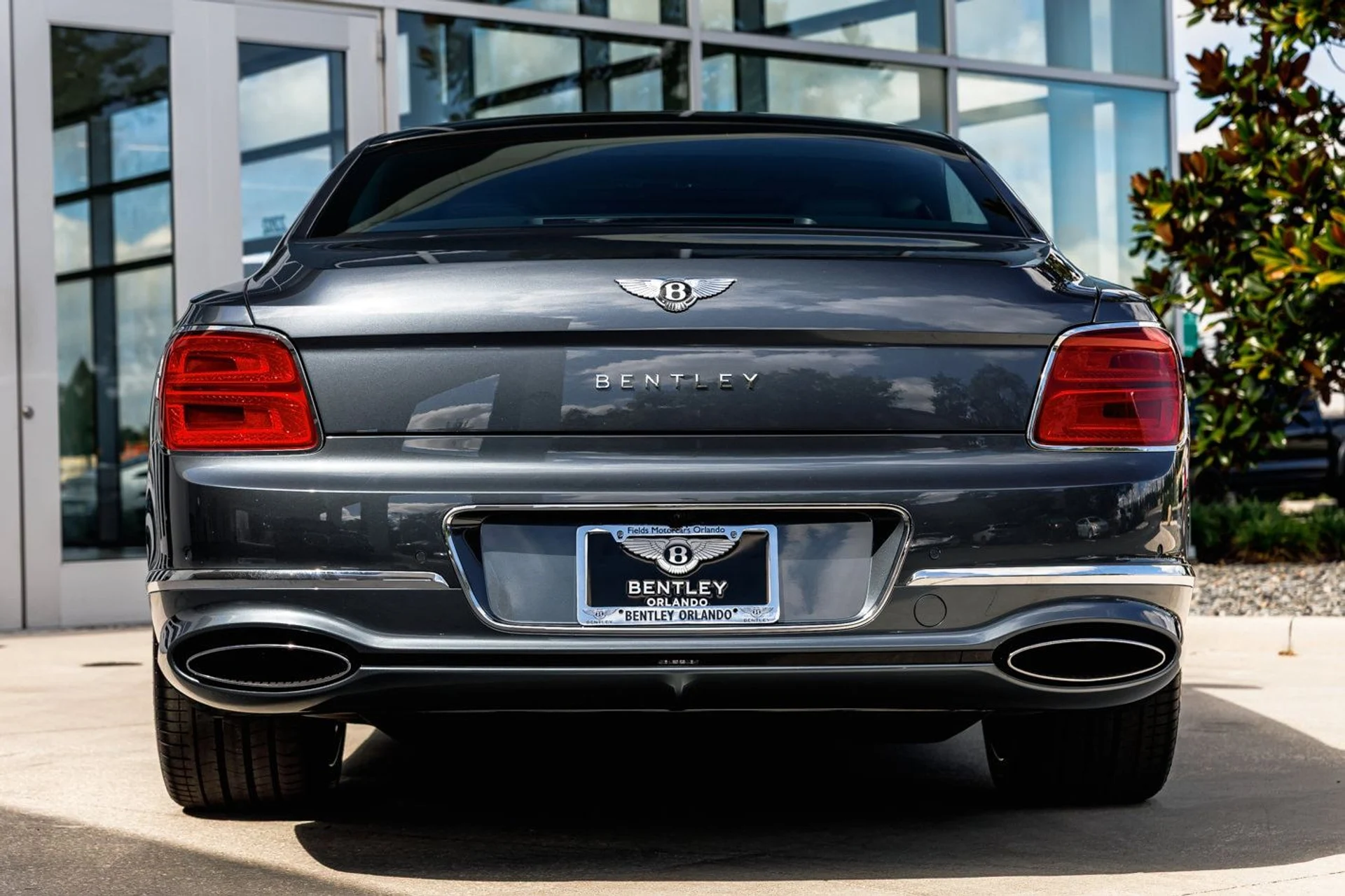 mph009_389208527_a34b5a02dd667abdf262ae155b6c0037x_5af8ba739d